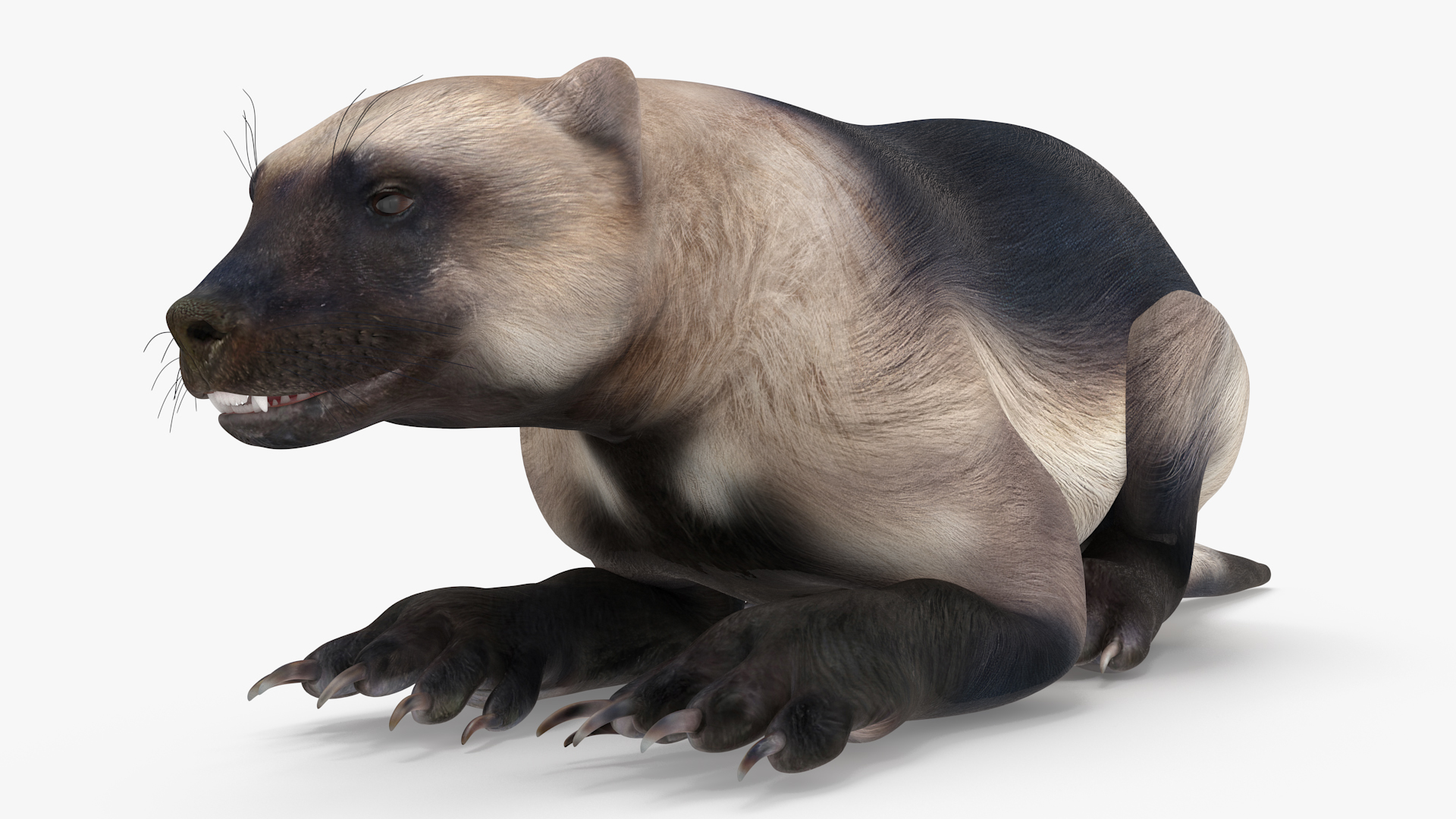 Wolverine Light Color Lying Down Pose 3D