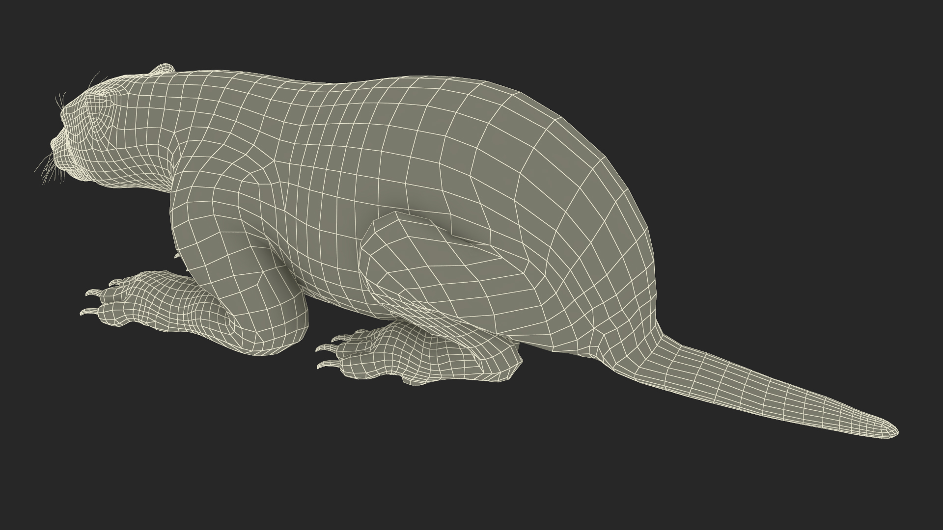 Wolverine Light Color Lying Down Pose 3D