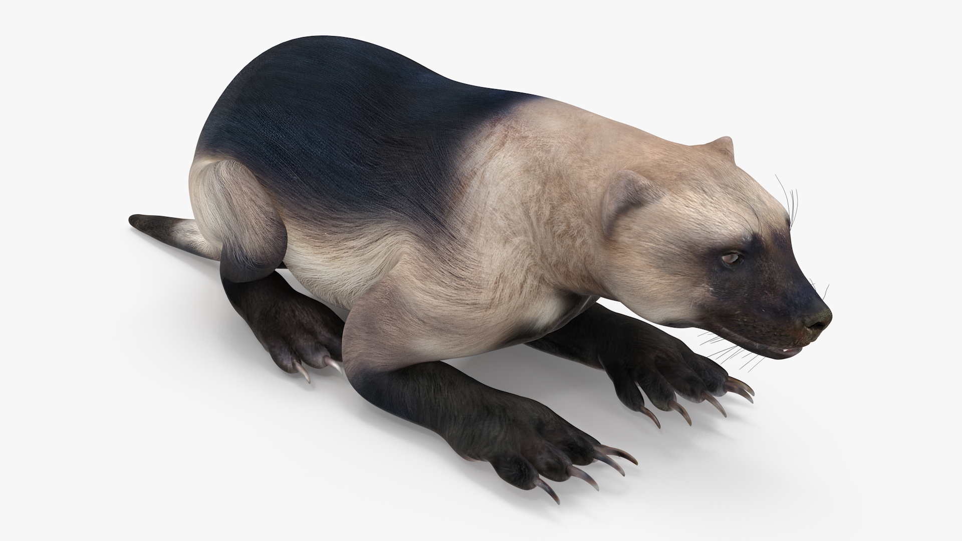 Wolverine Light Color Lying Down Pose 3D