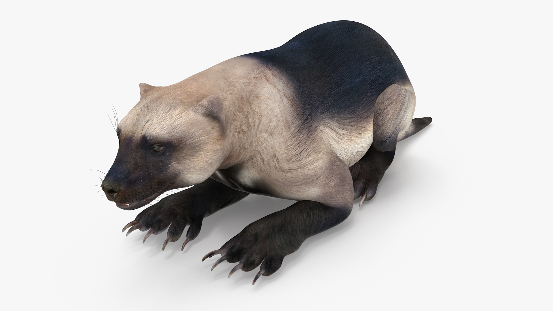 Wolverine Light Color Lying Down Pose 3D