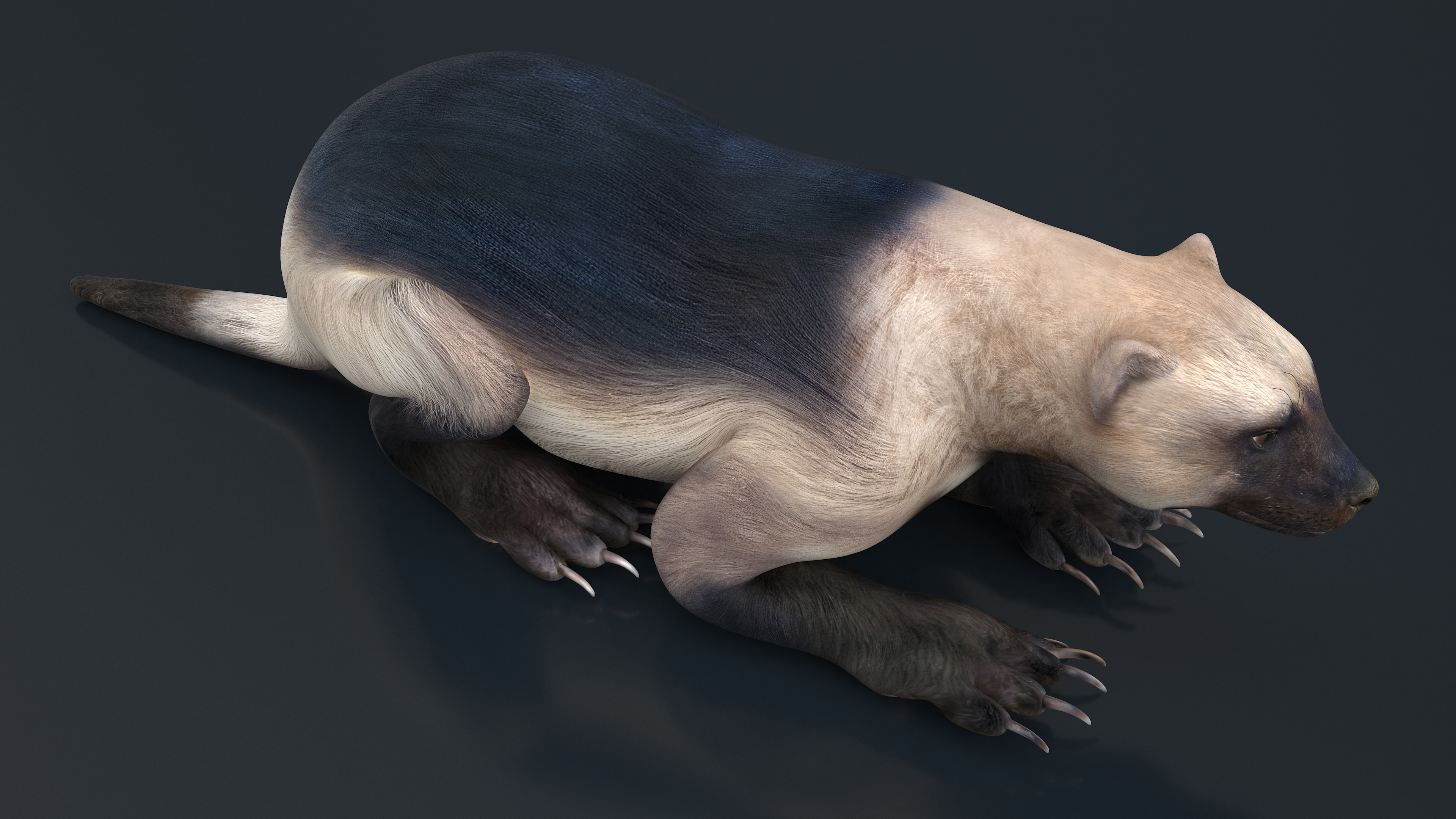 Wolverine Light Color Lying Down Pose 3D