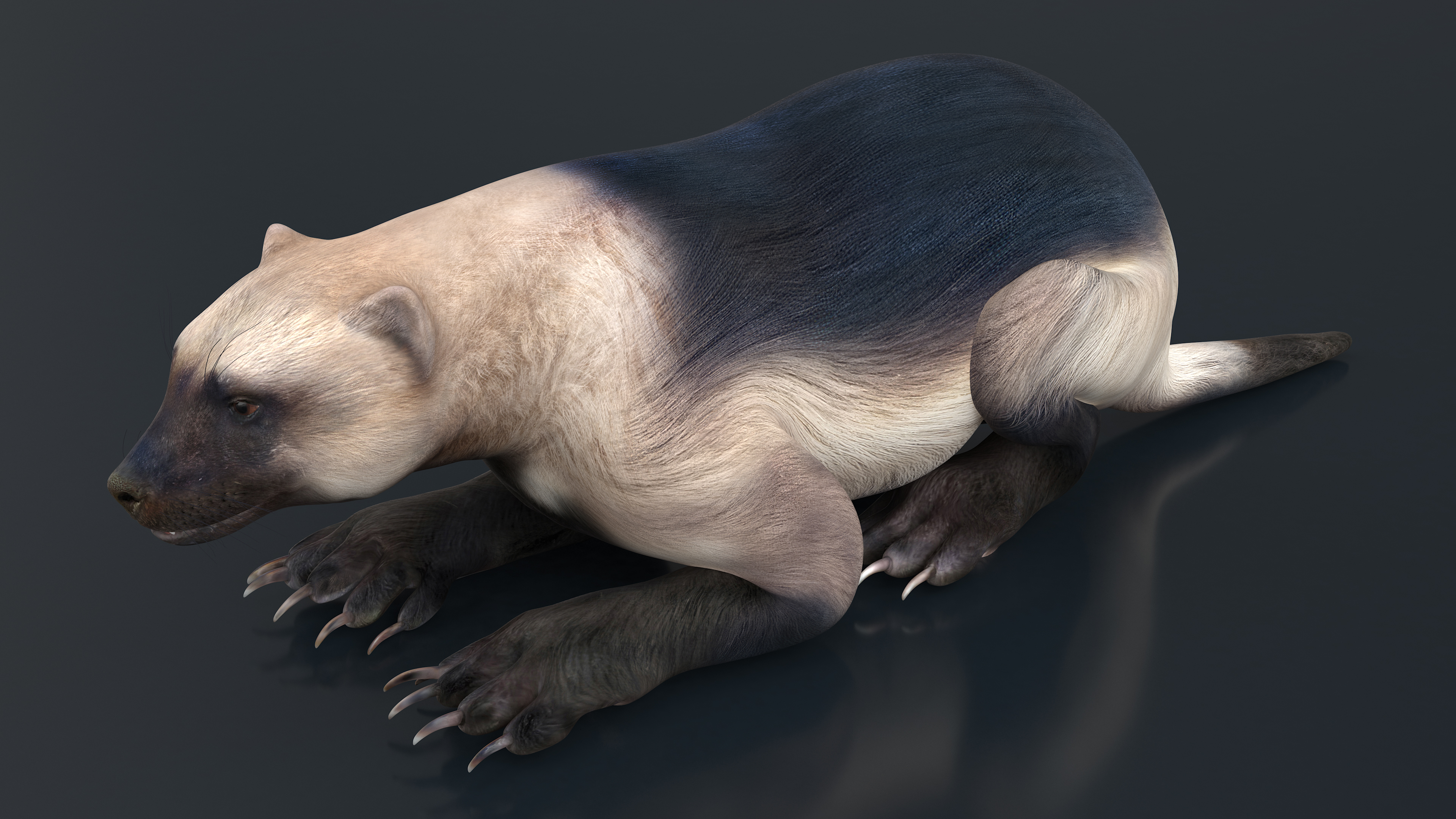 Wolverine Light Color Lying Down Pose 3D