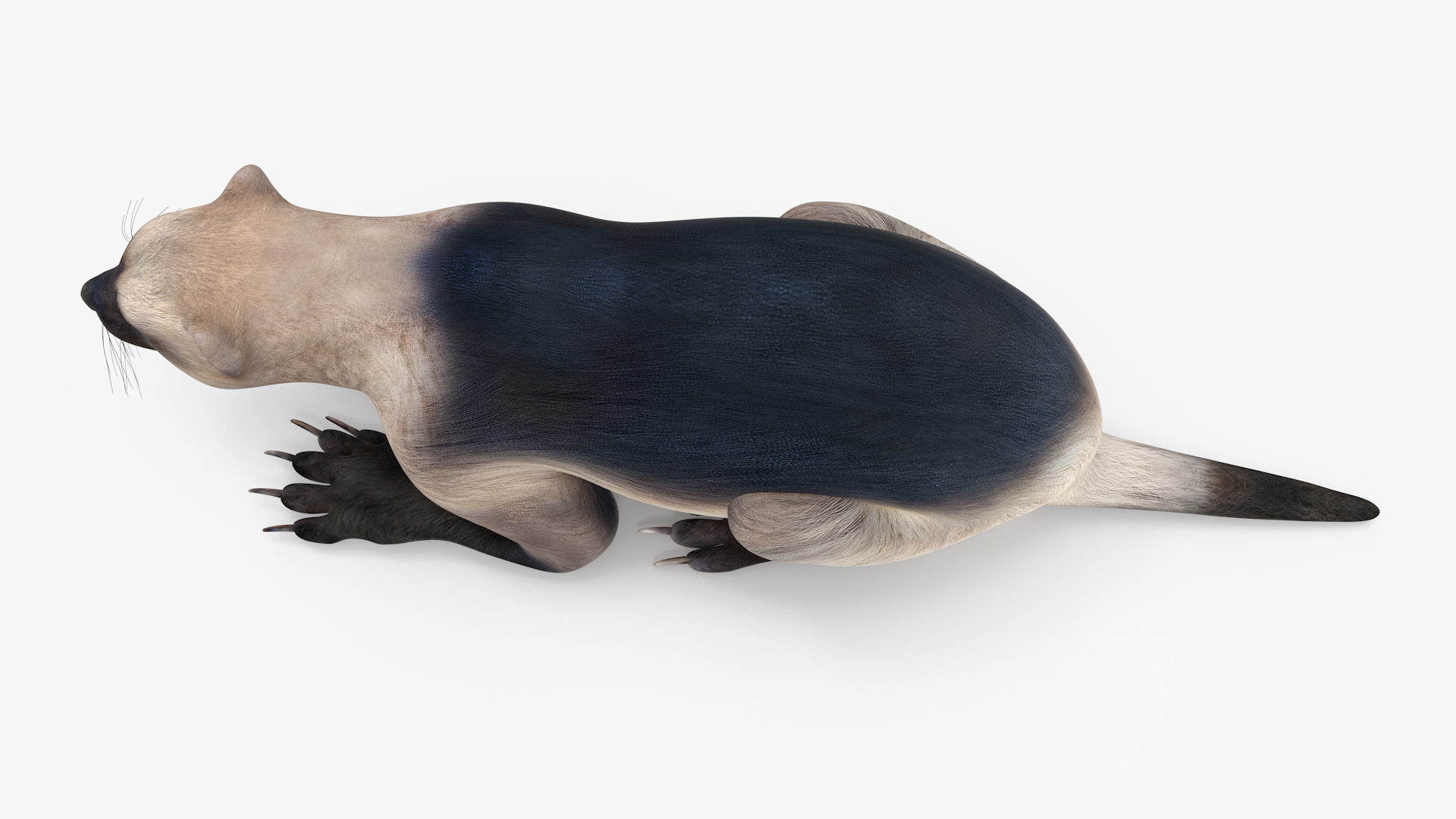 Wolverine Light Color Lying Down Pose 3D
