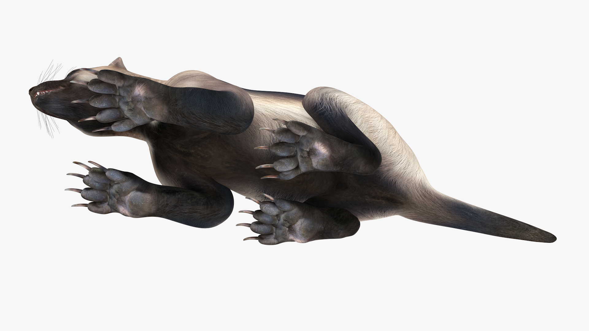Wolverine Light Color Lying Down Pose 3D