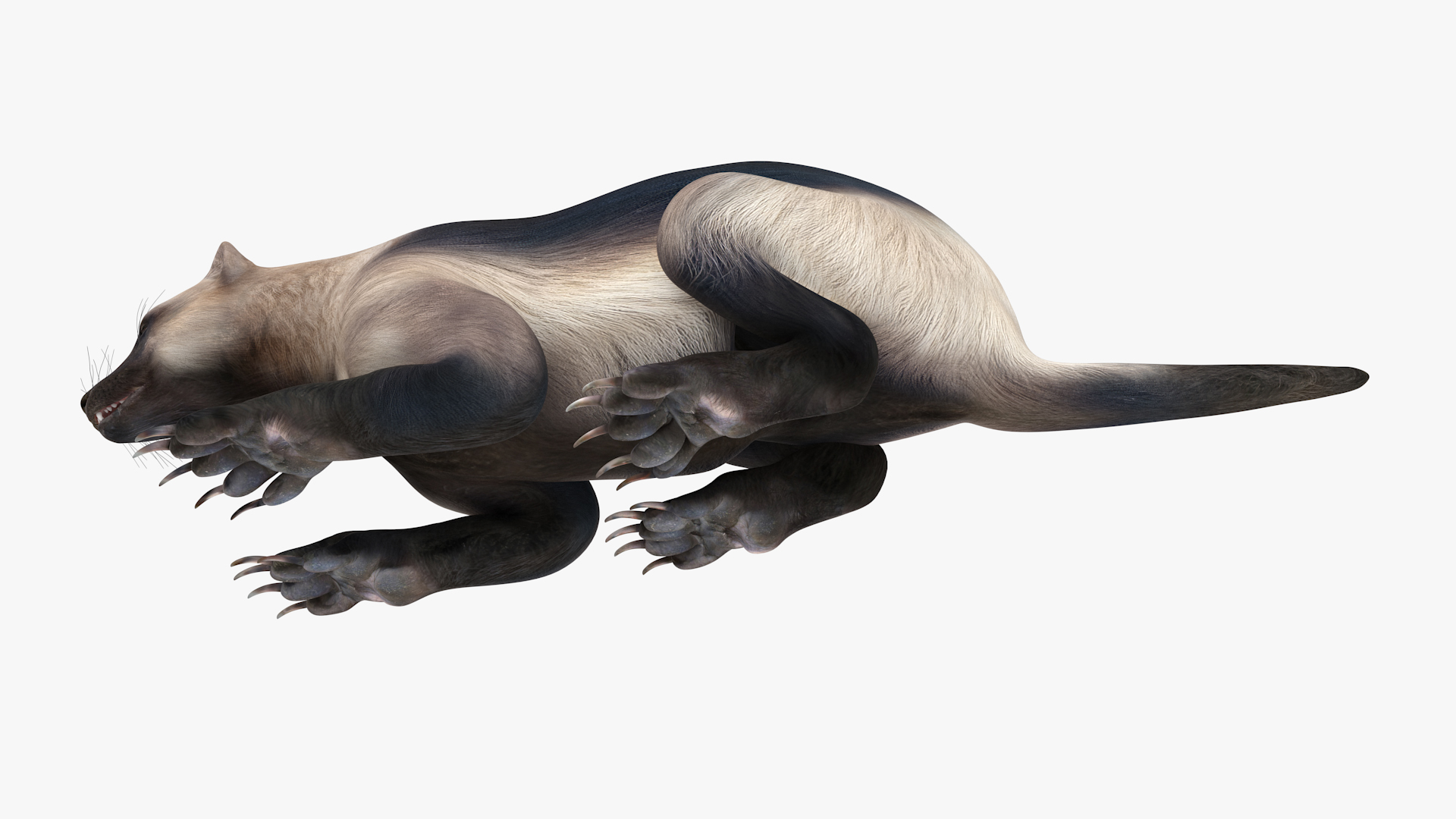 Wolverine Light Color Lying Down Pose 3D
