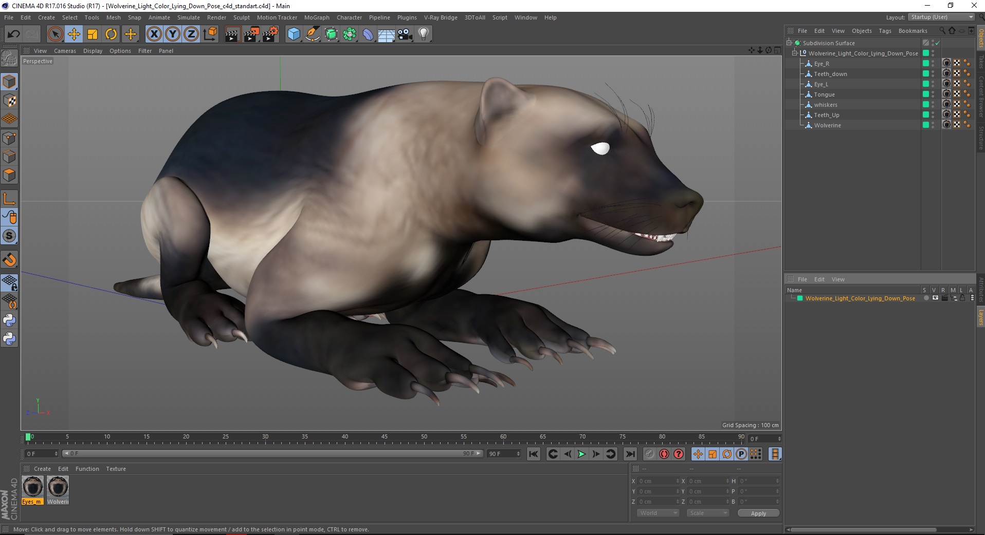 Wolverine Light Color Lying Down Pose 3D
