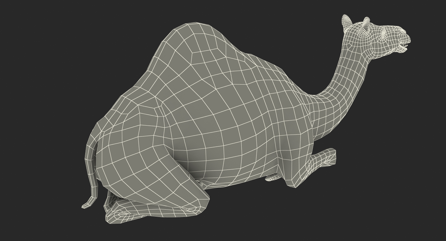 Camel Sitting Pose with Fur 3D