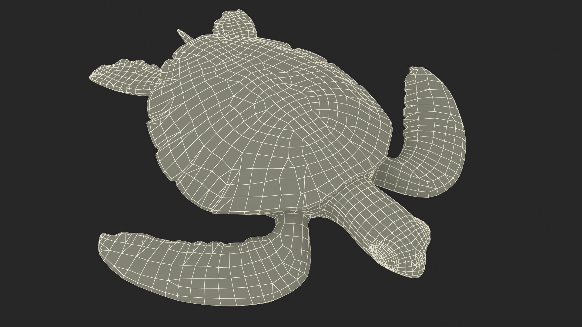 Green Turtle 3D