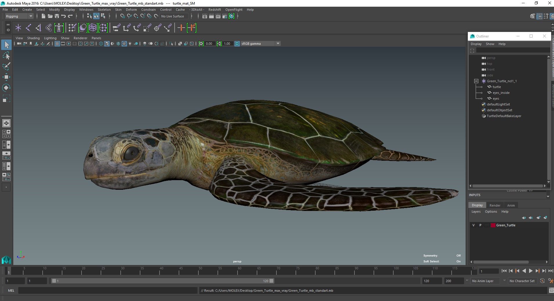 Green Turtle 3D