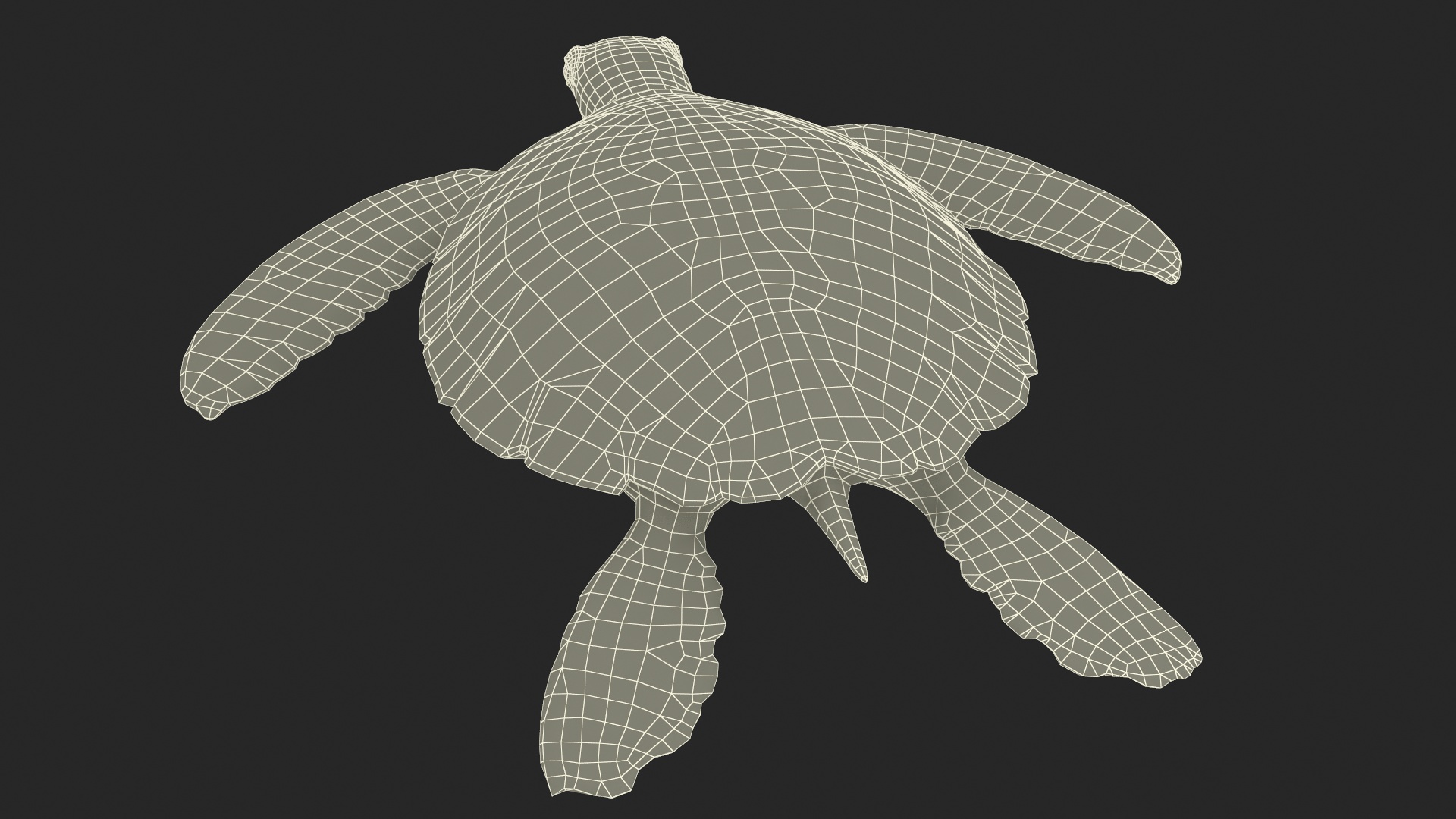 Green Turtle 3D