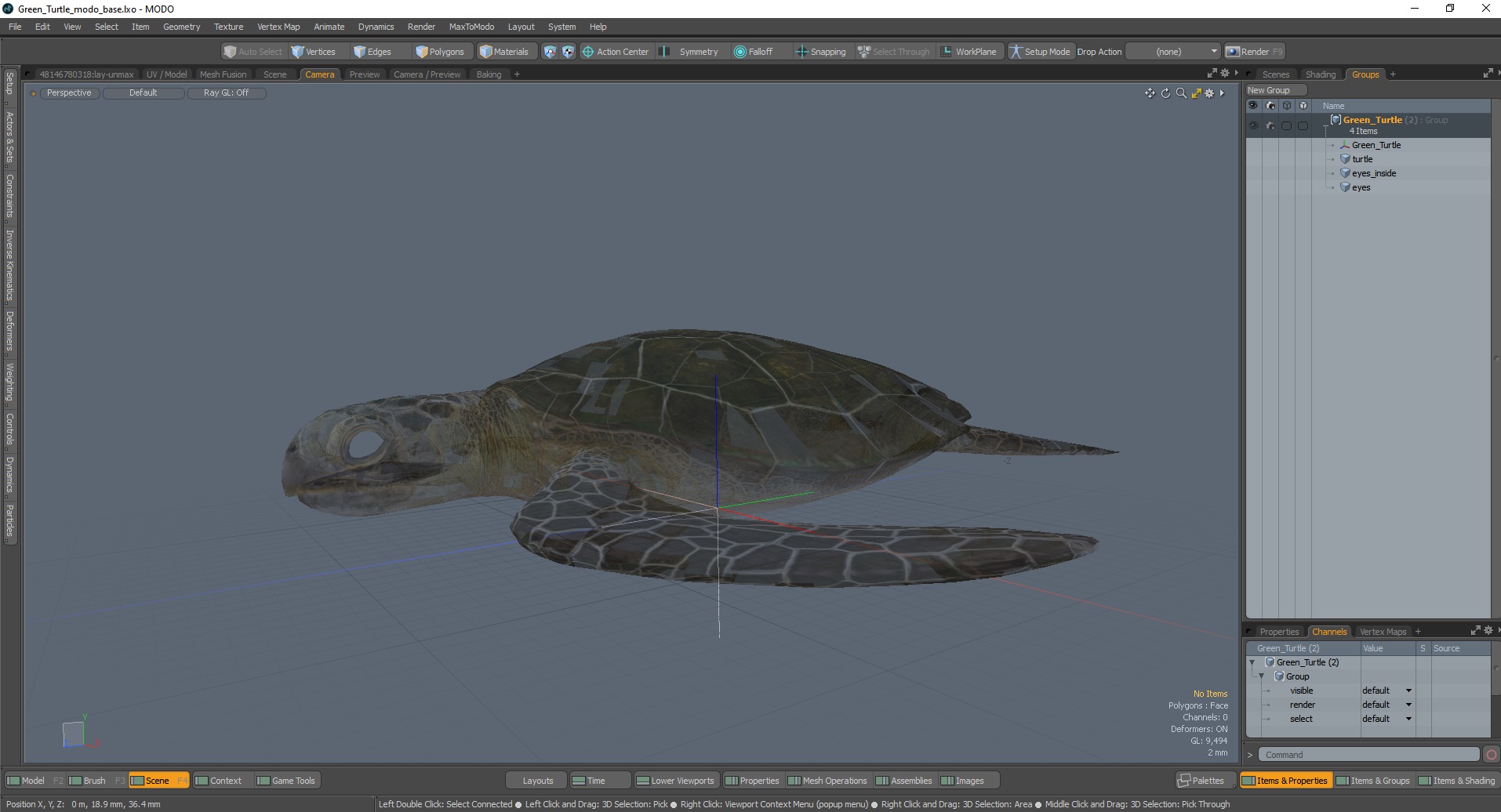 Green Turtle 3D