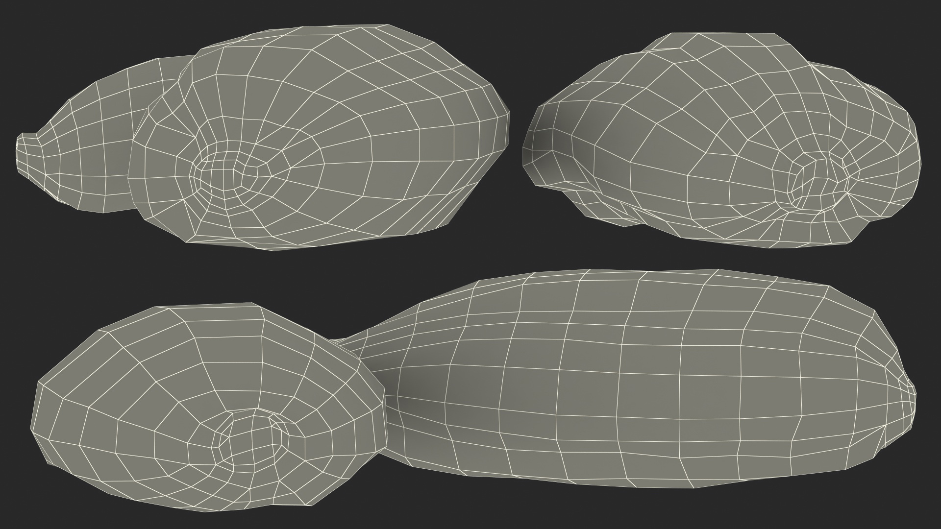 3D Dried Black Cardamom Fruit
