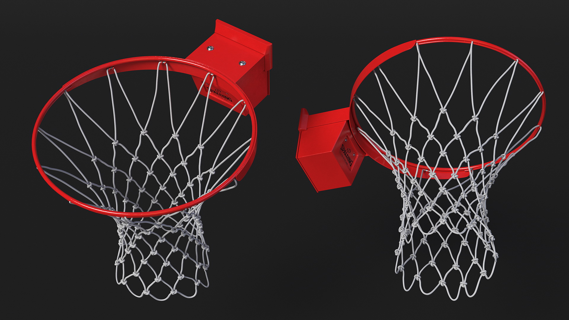 Basketball Hoop and Net Spalding 3D