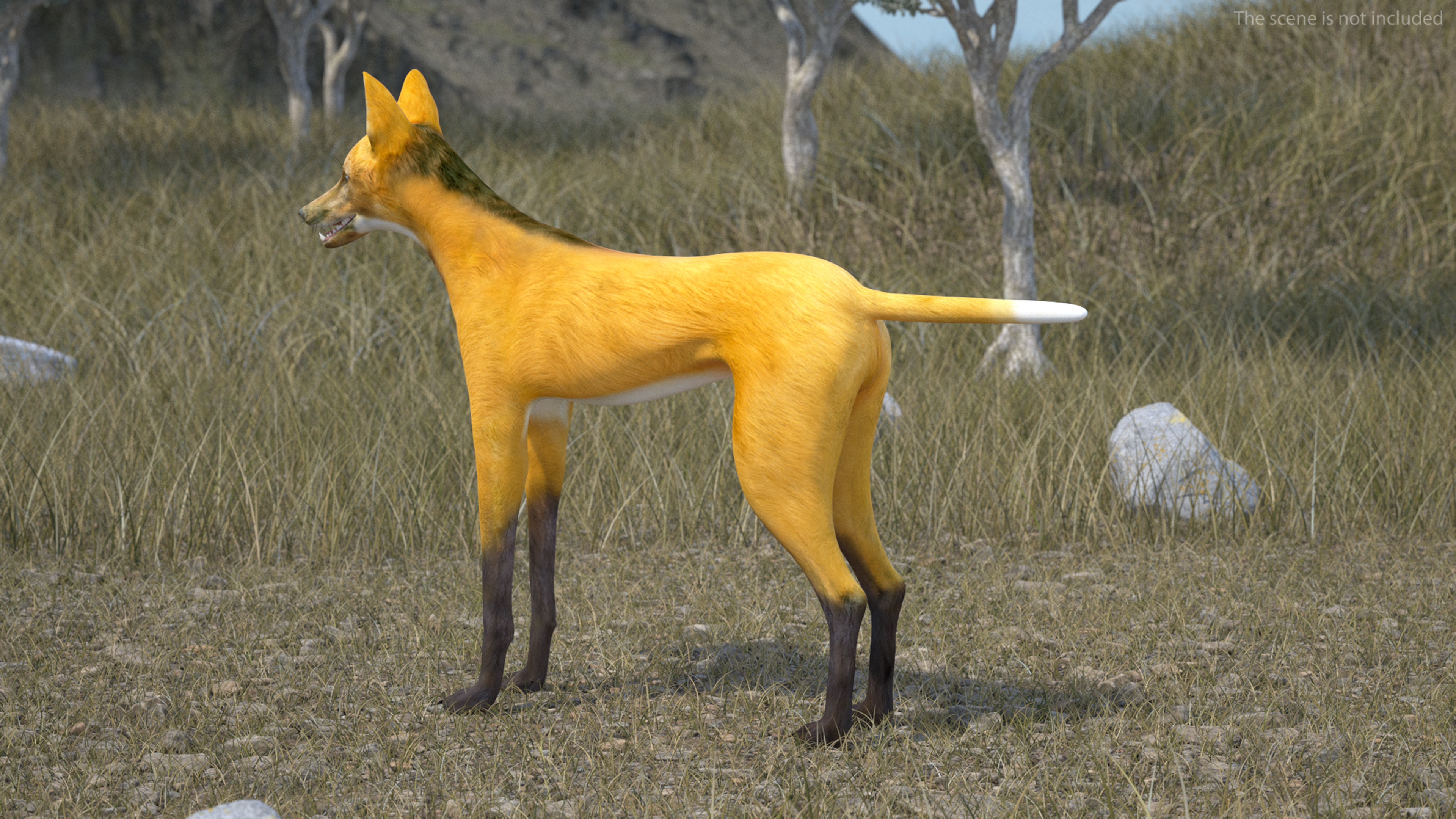 3D Chrysocyon Rigged for Maya