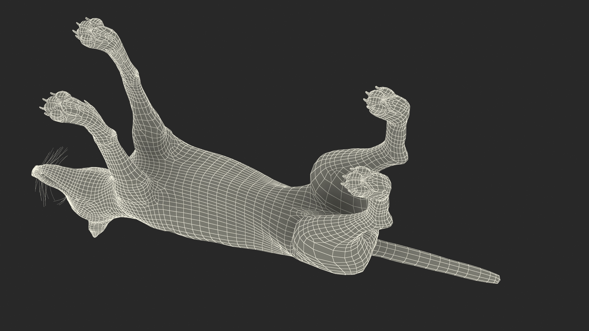 3D Chrysocyon Rigged for Maya