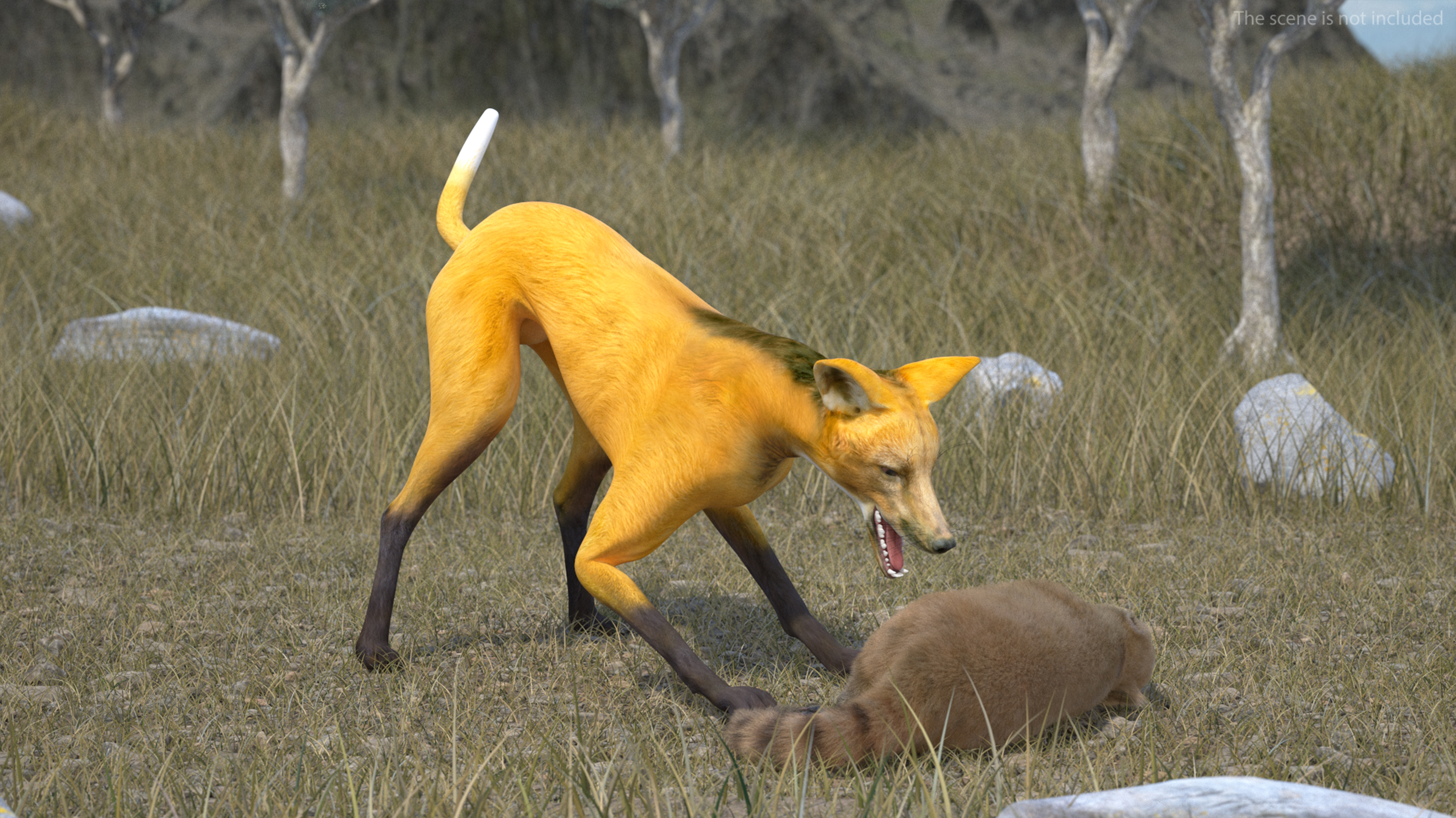3D Chrysocyon Rigged for Maya
