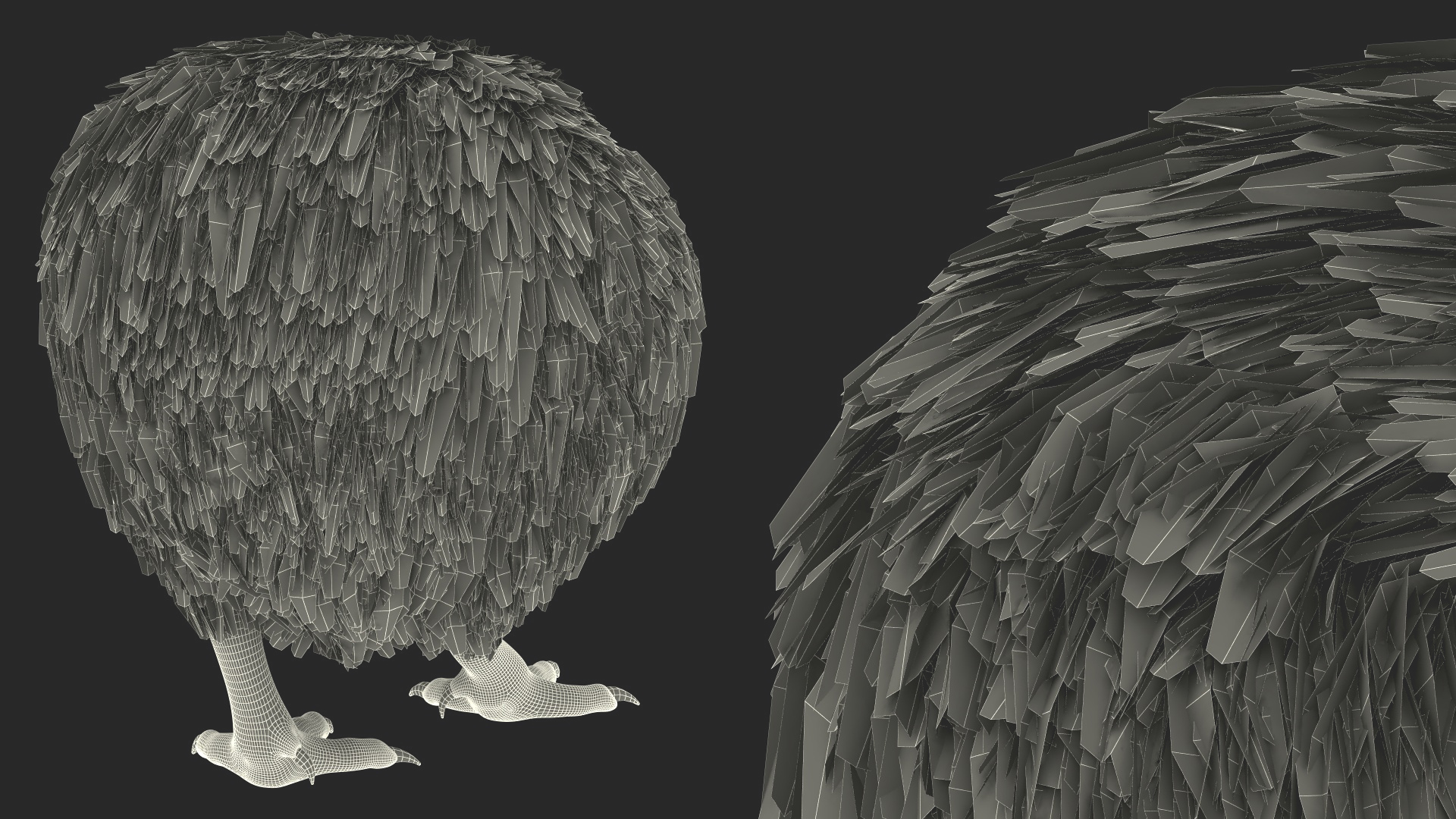 Cute Kiwi Bird 3D model