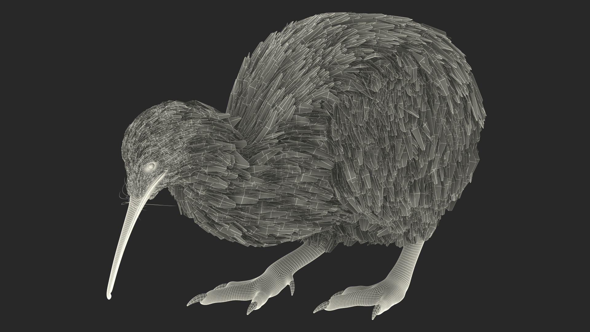 Cute Kiwi Bird 3D model