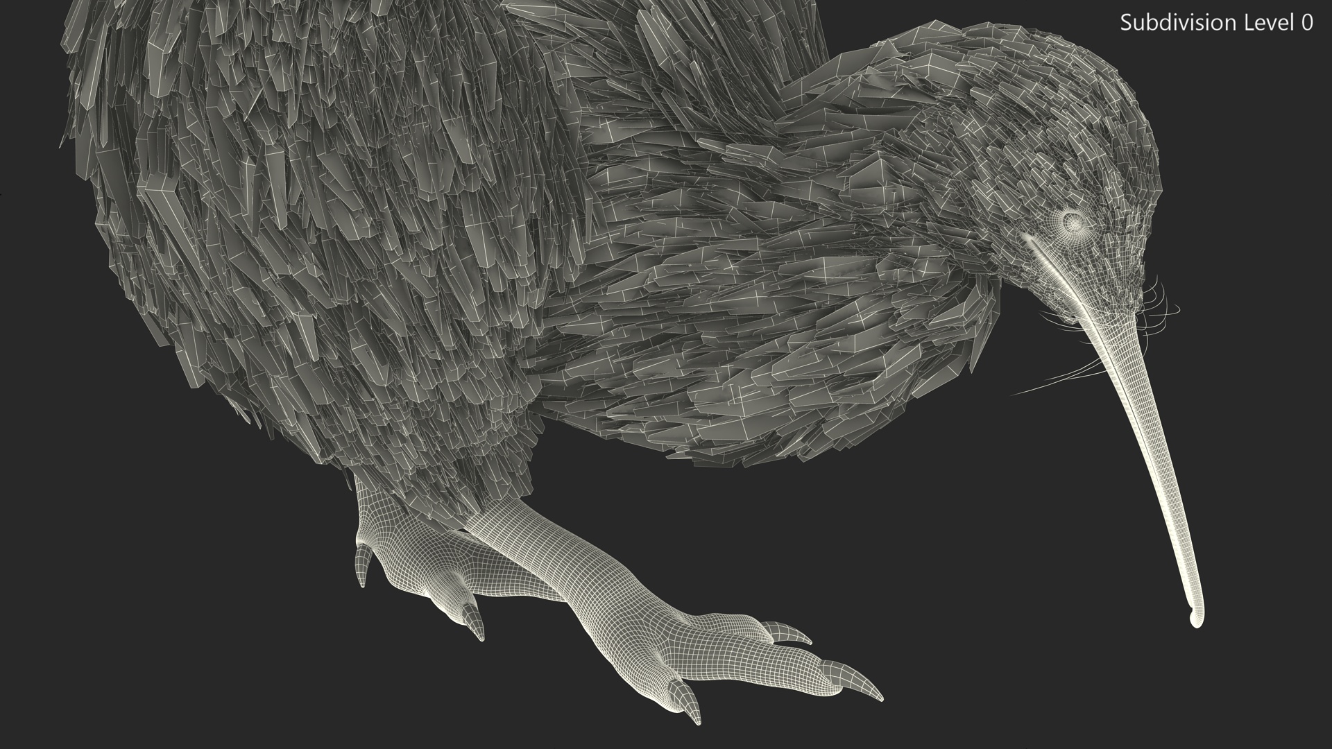 Cute Kiwi Bird 3D model