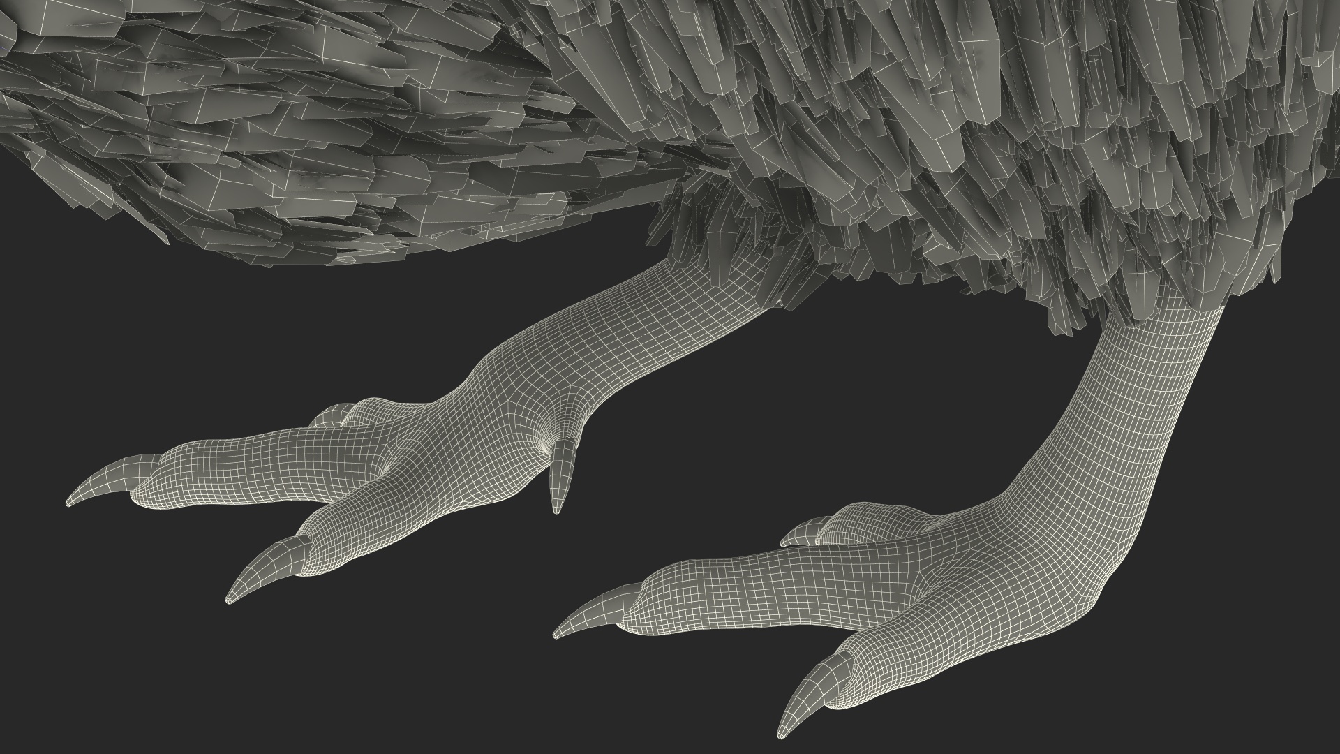 Cute Kiwi Bird 3D model