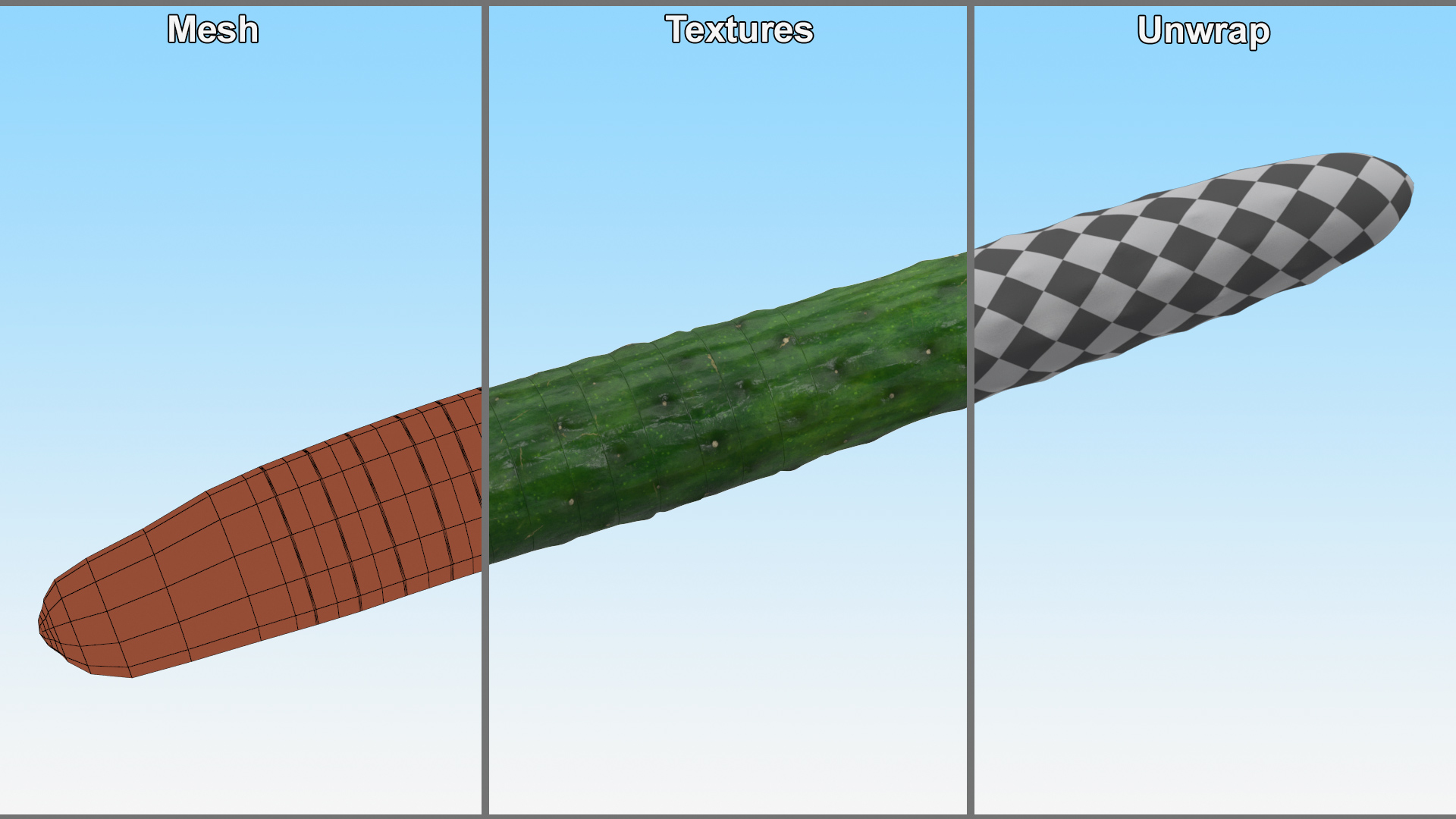 3D model Cucumber Ring Sliced