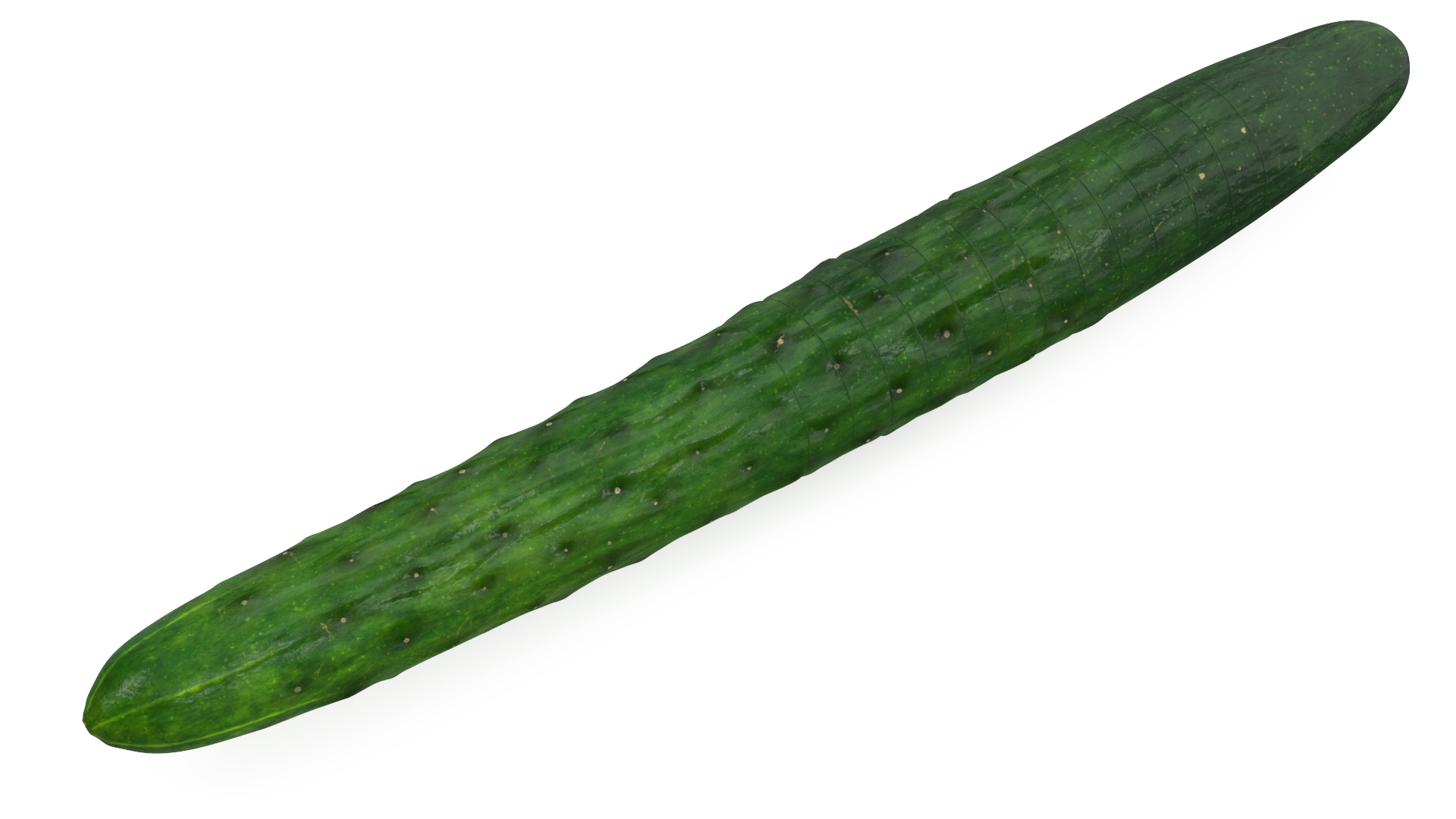 3D model Cucumber Ring Sliced