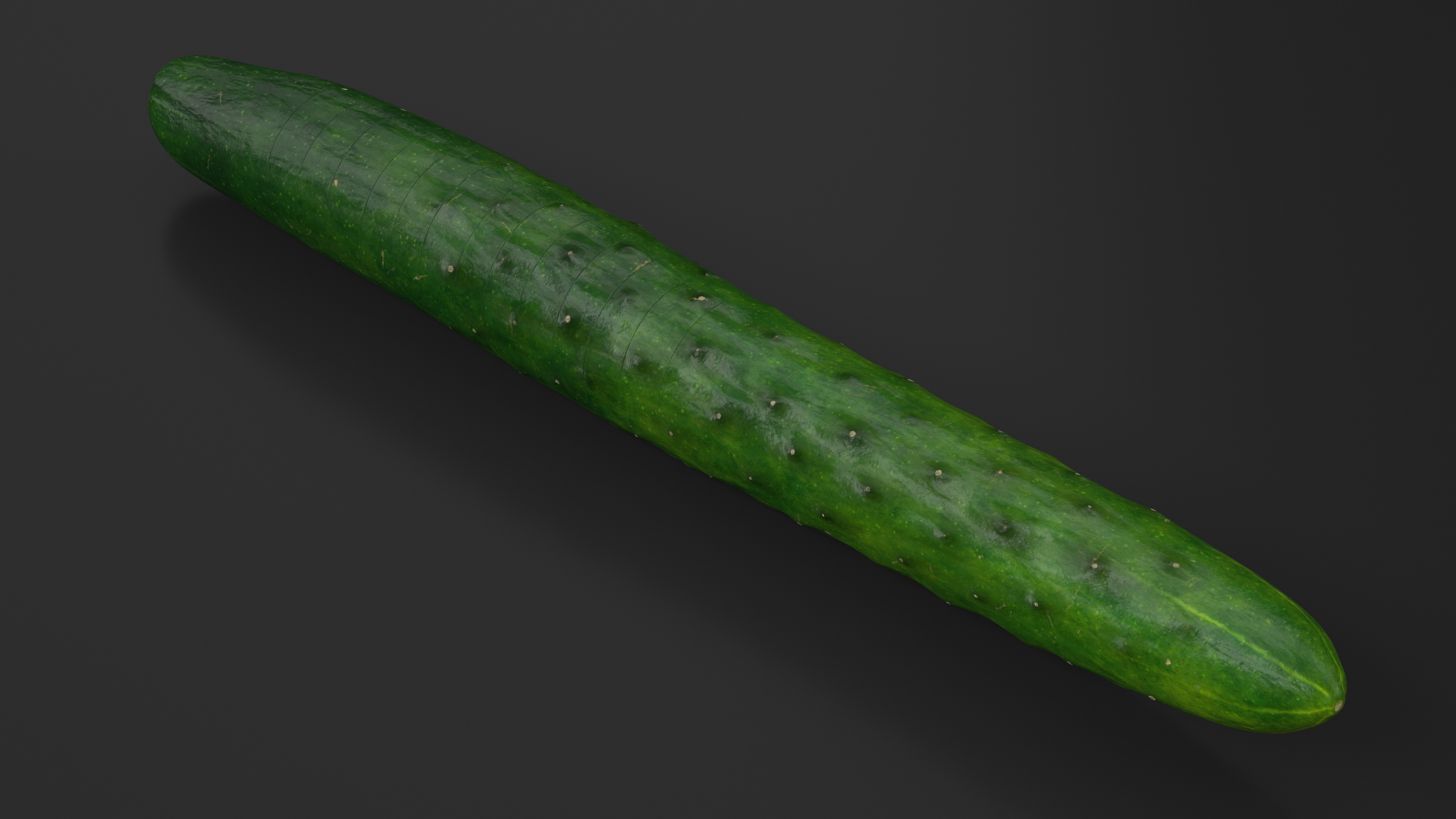 3D model Cucumber Ring Sliced