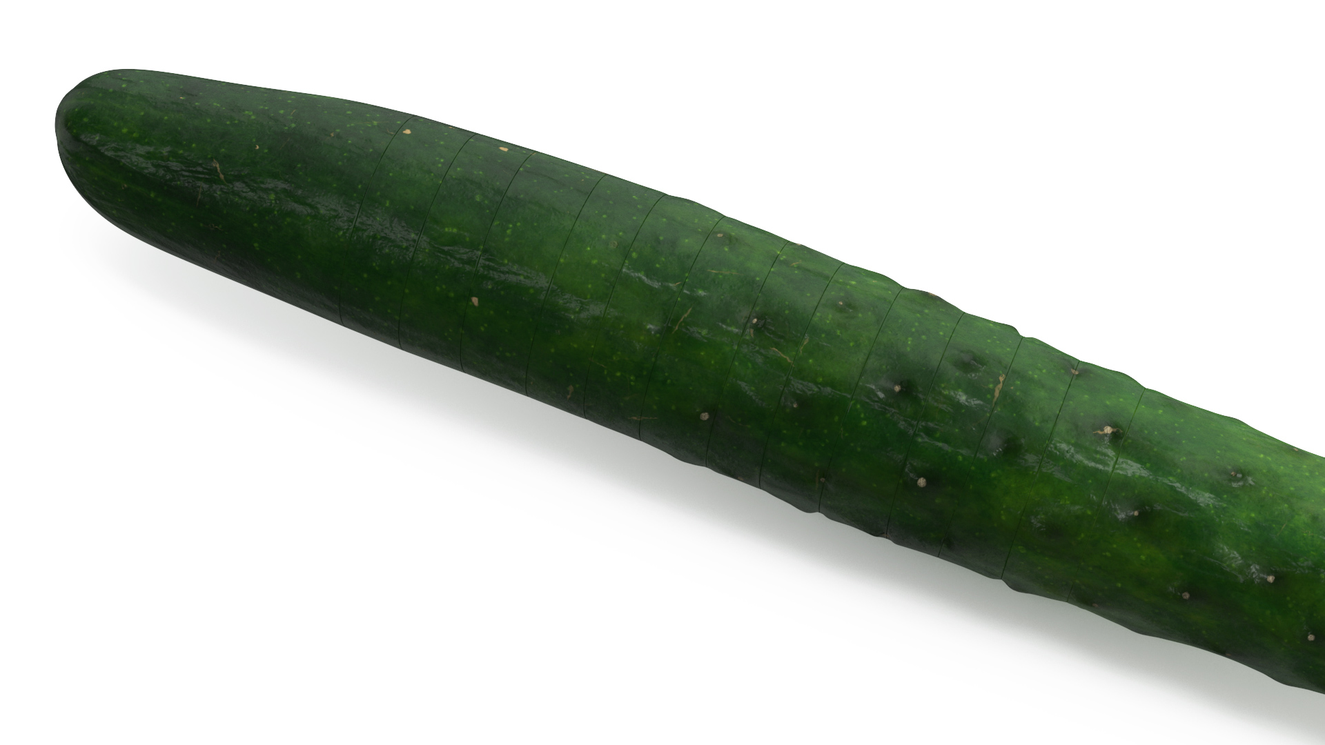 3D model Cucumber Ring Sliced