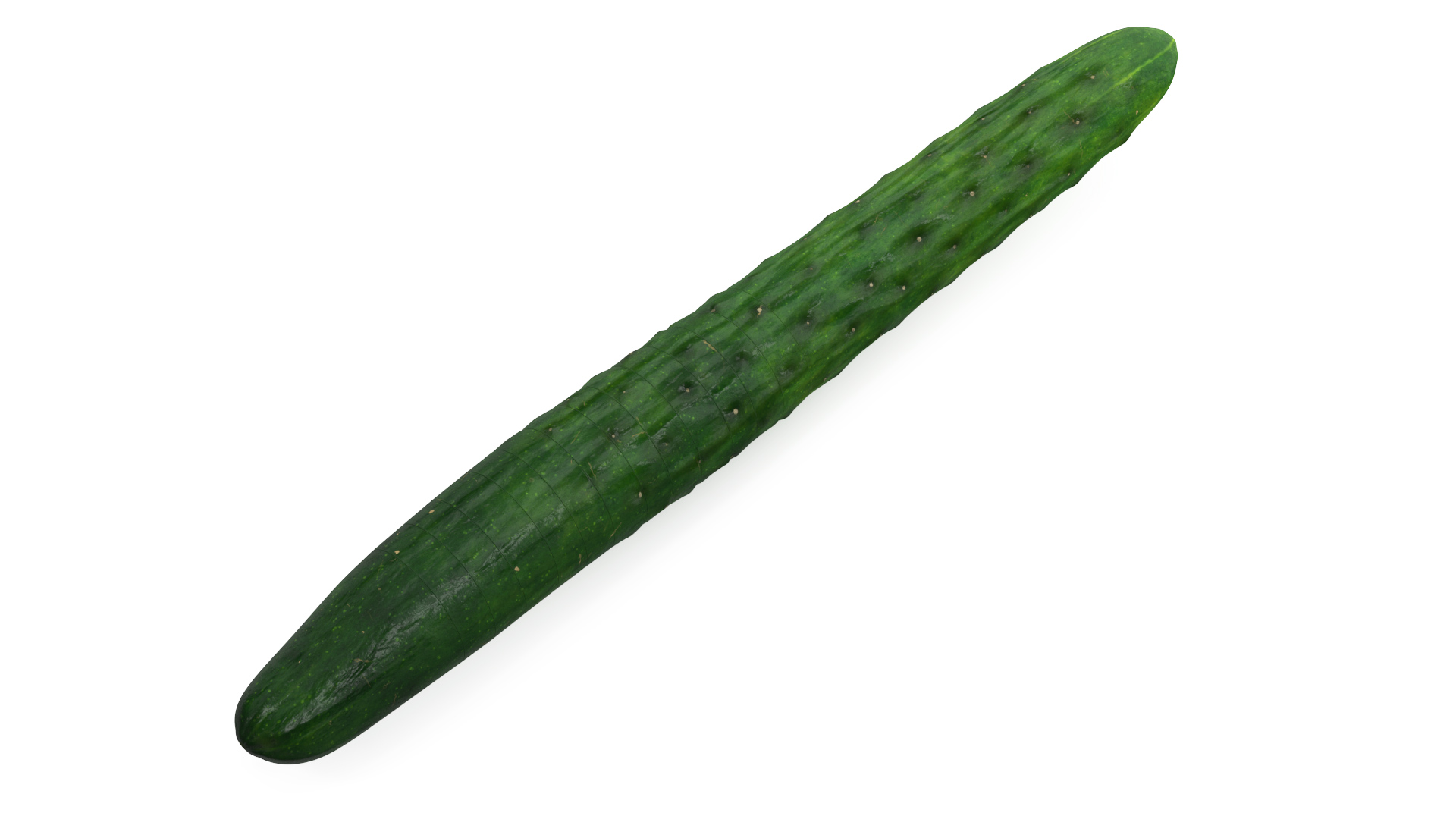 3D model Cucumber Ring Sliced