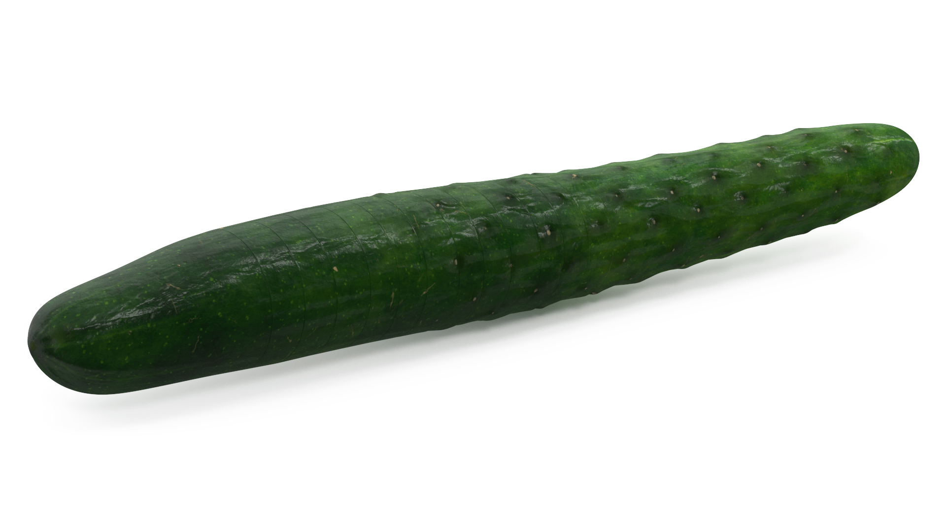 3D model Cucumber Ring Sliced