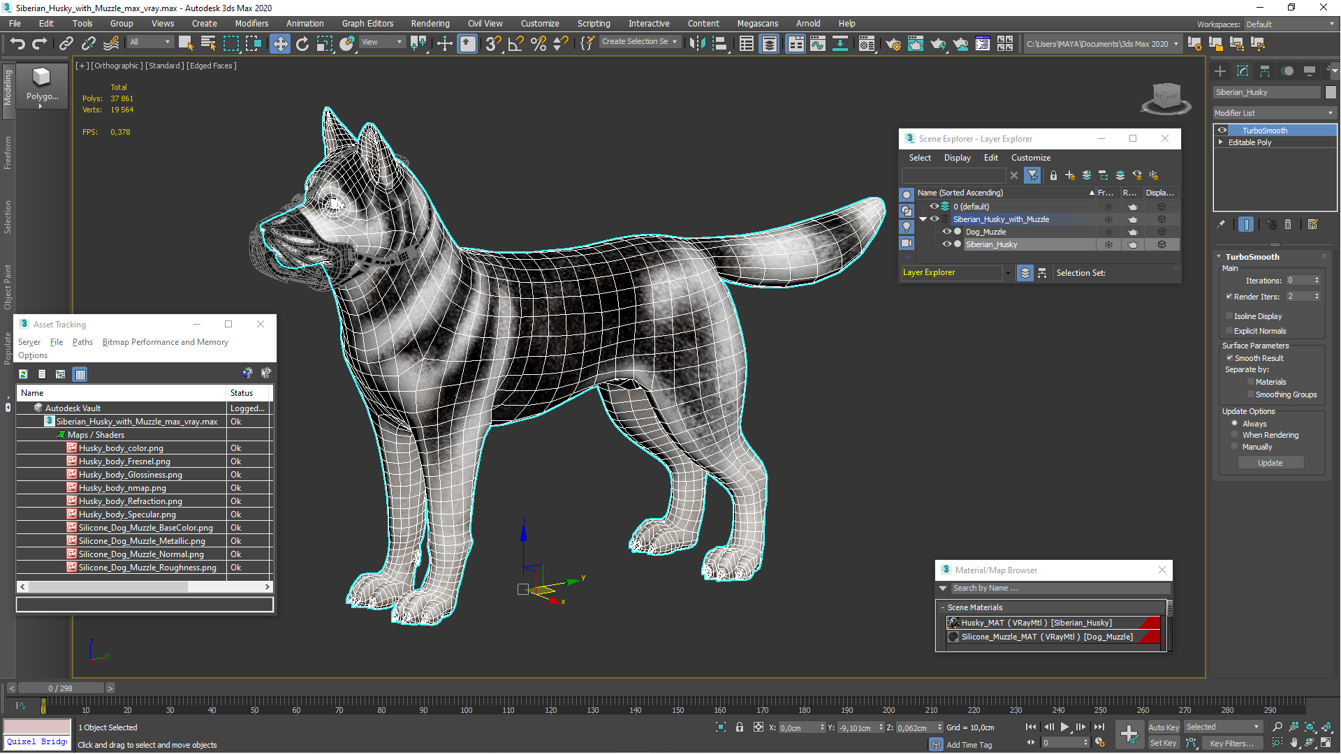 3D Siberian Husky with Muzzle