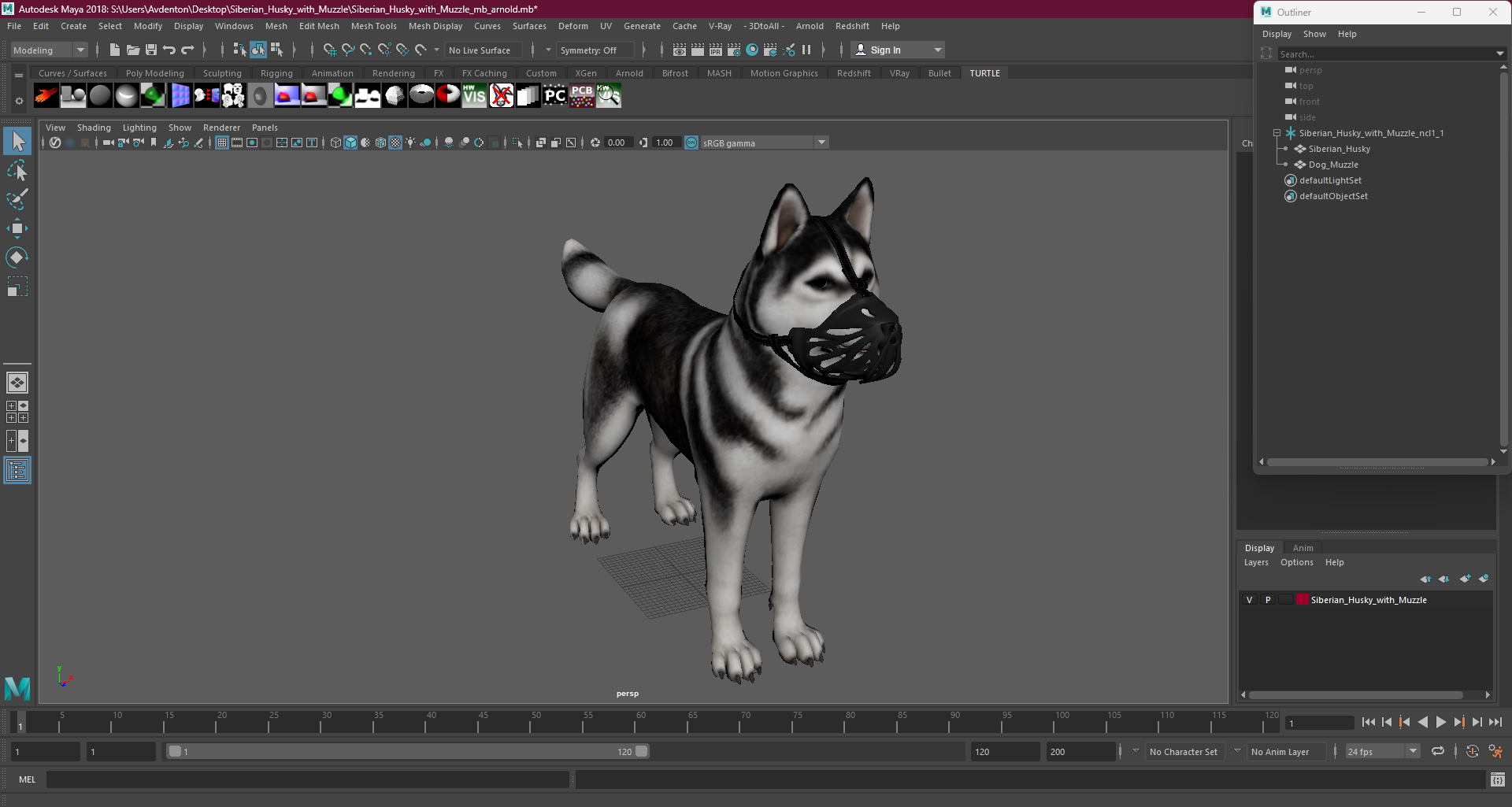 3D Siberian Husky with Muzzle