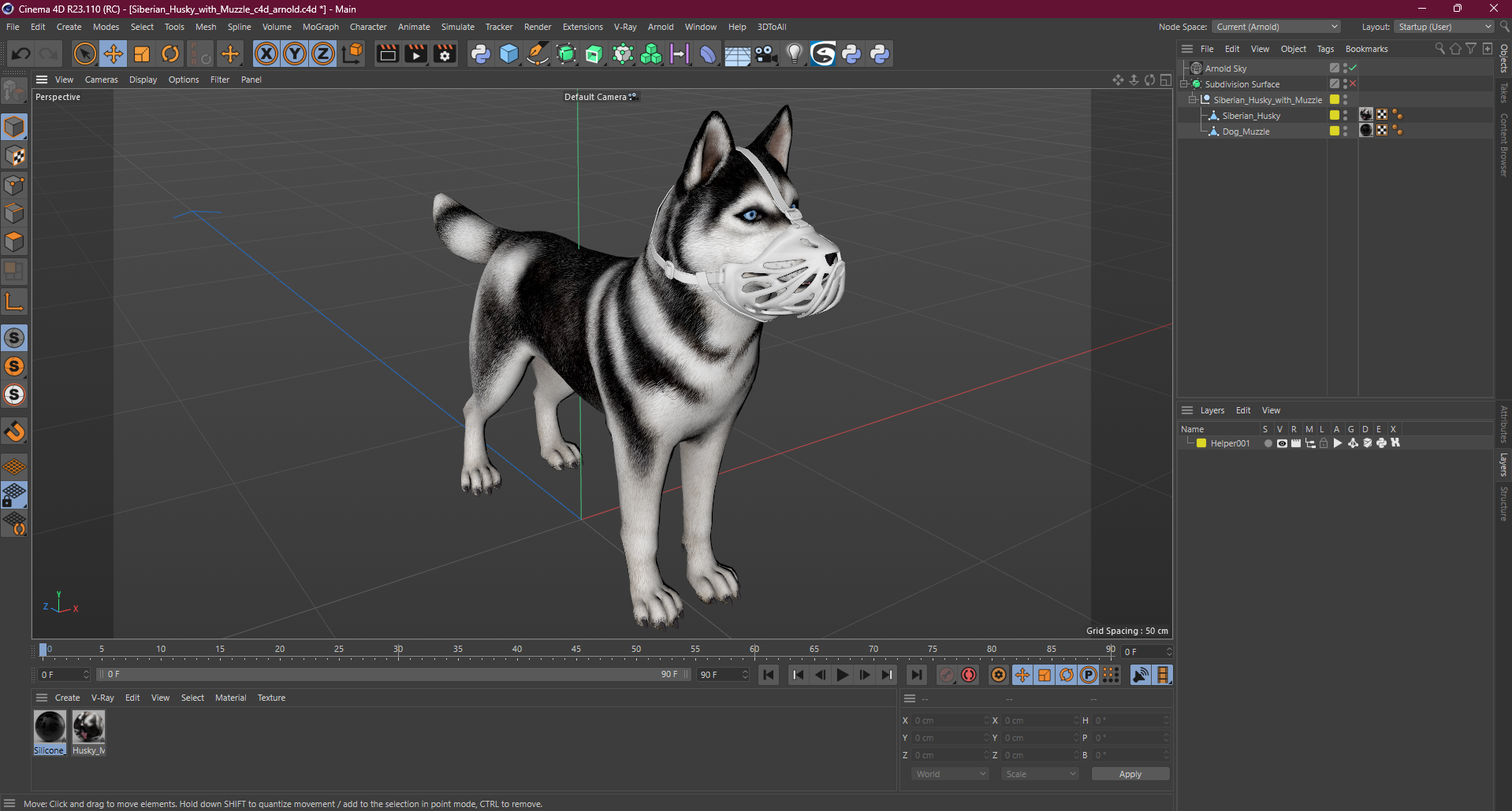 3D Siberian Husky with Muzzle