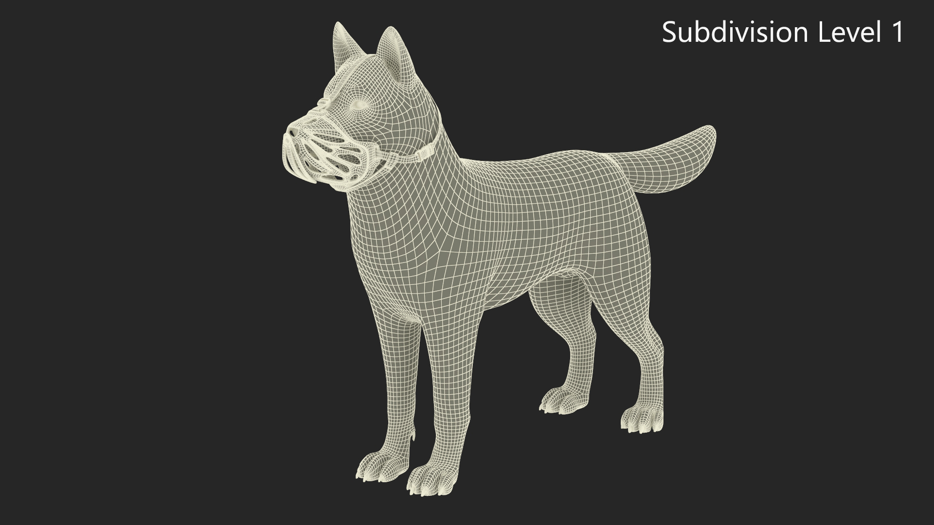 3D Siberian Husky with Muzzle
