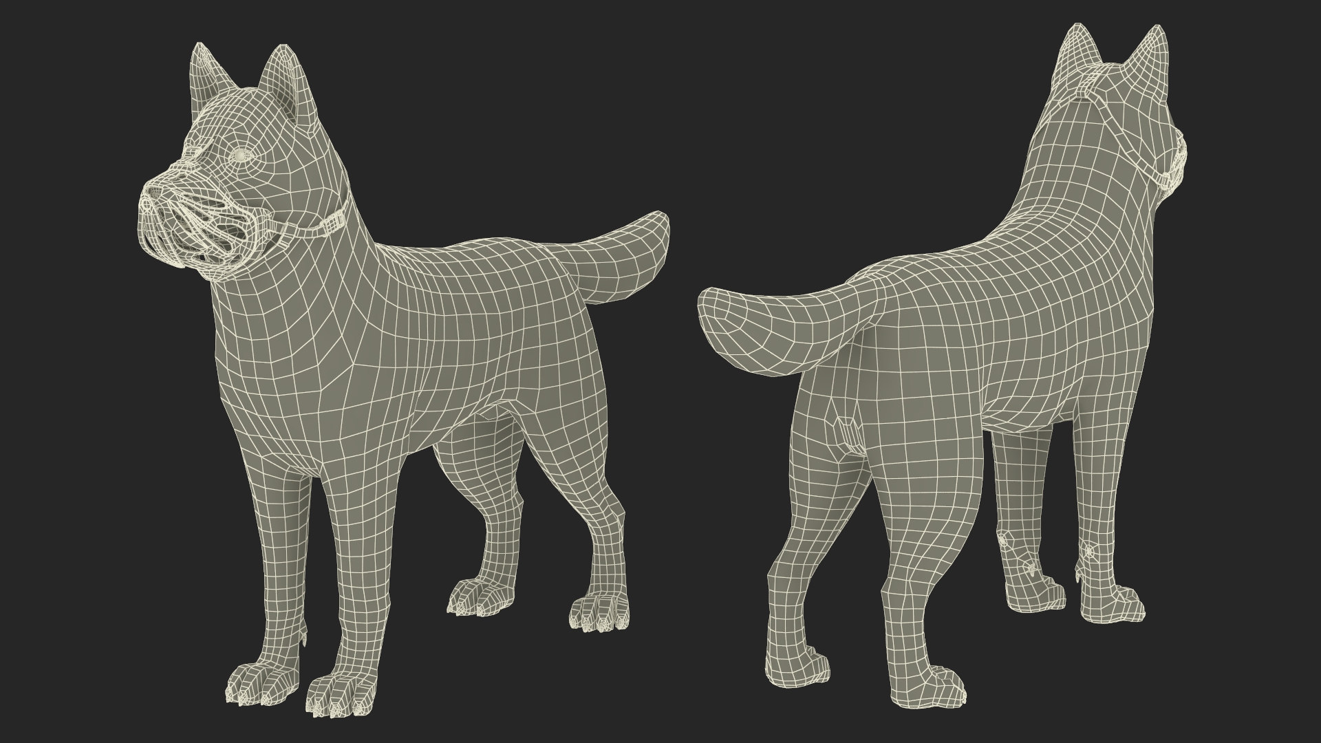 3D Siberian Husky with Muzzle