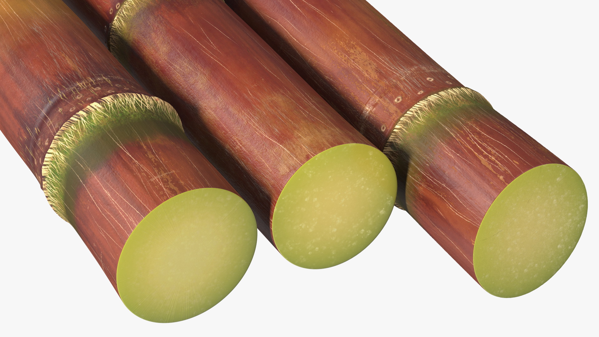 Brown Sugarcane Sticks 3D