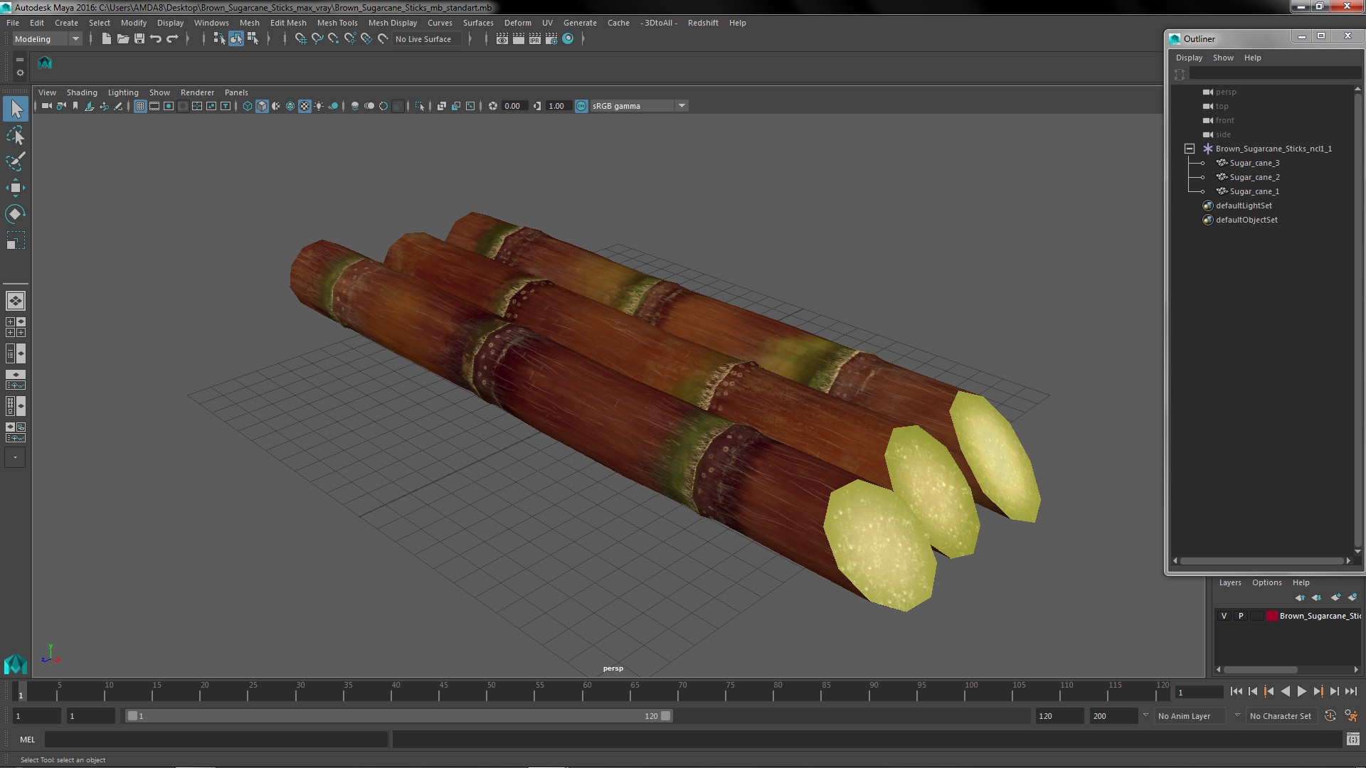 Brown Sugarcane Sticks 3D