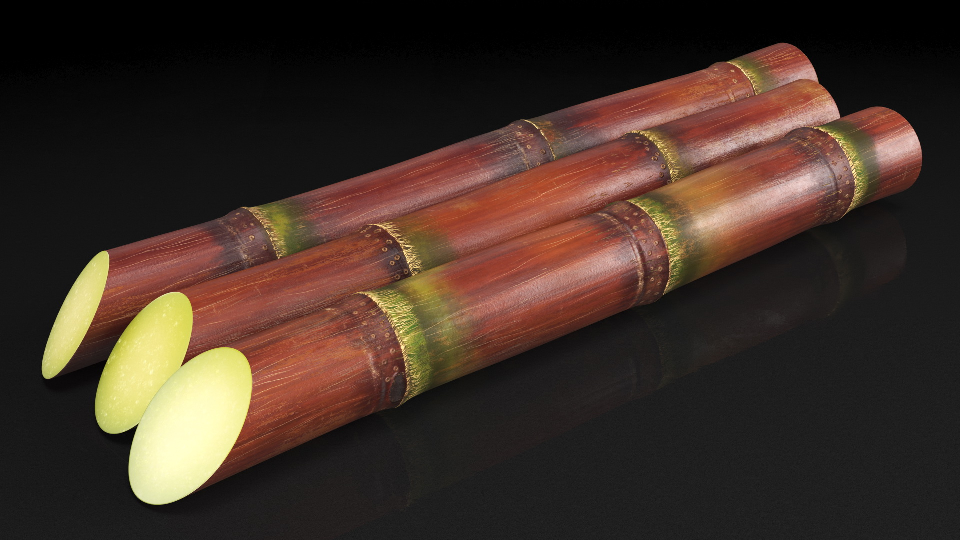 Brown Sugarcane Sticks 3D