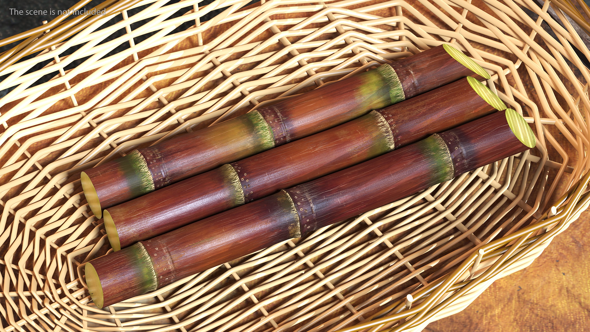 Brown Sugarcane Sticks 3D
