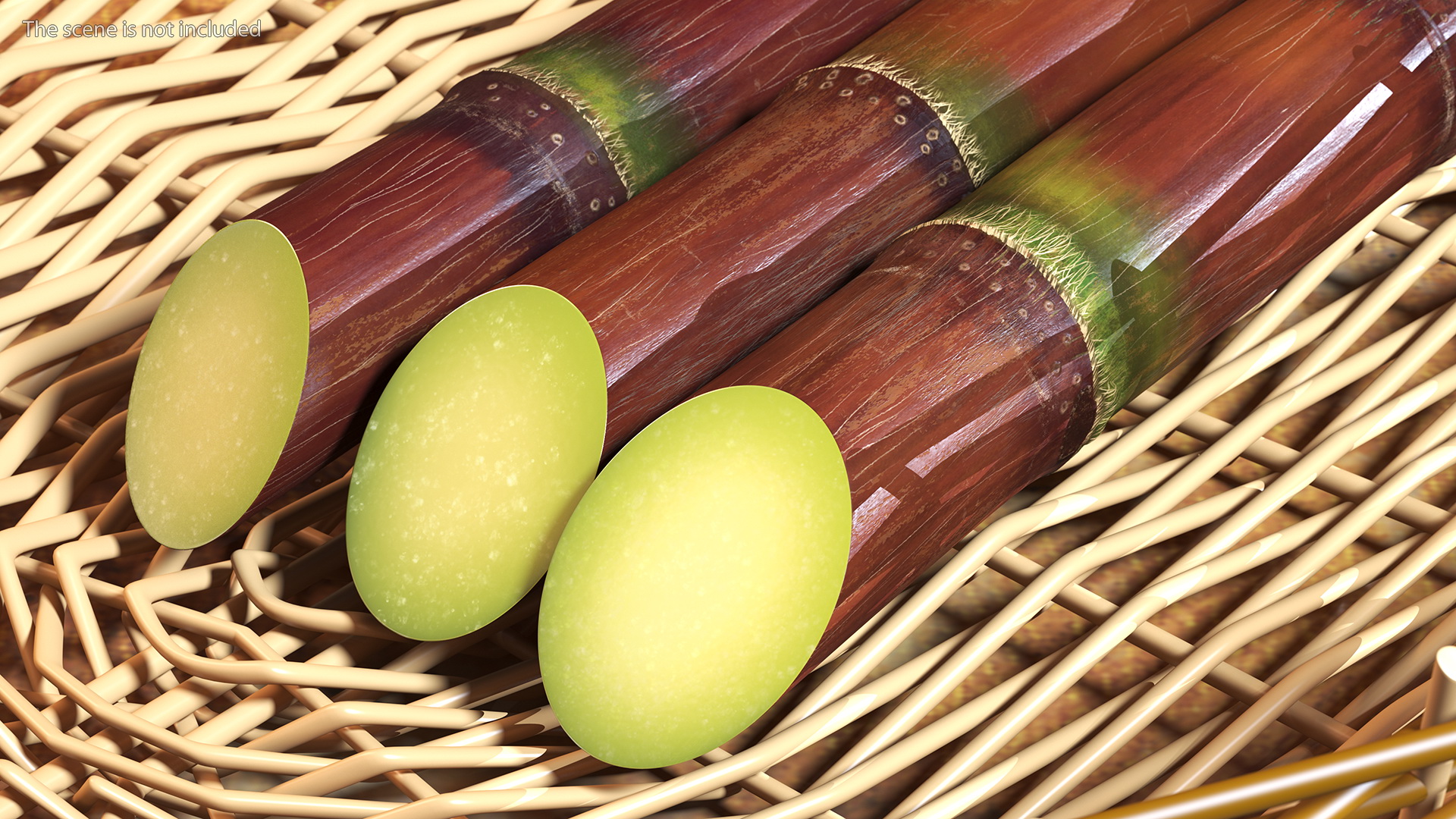 Brown Sugarcane Sticks 3D