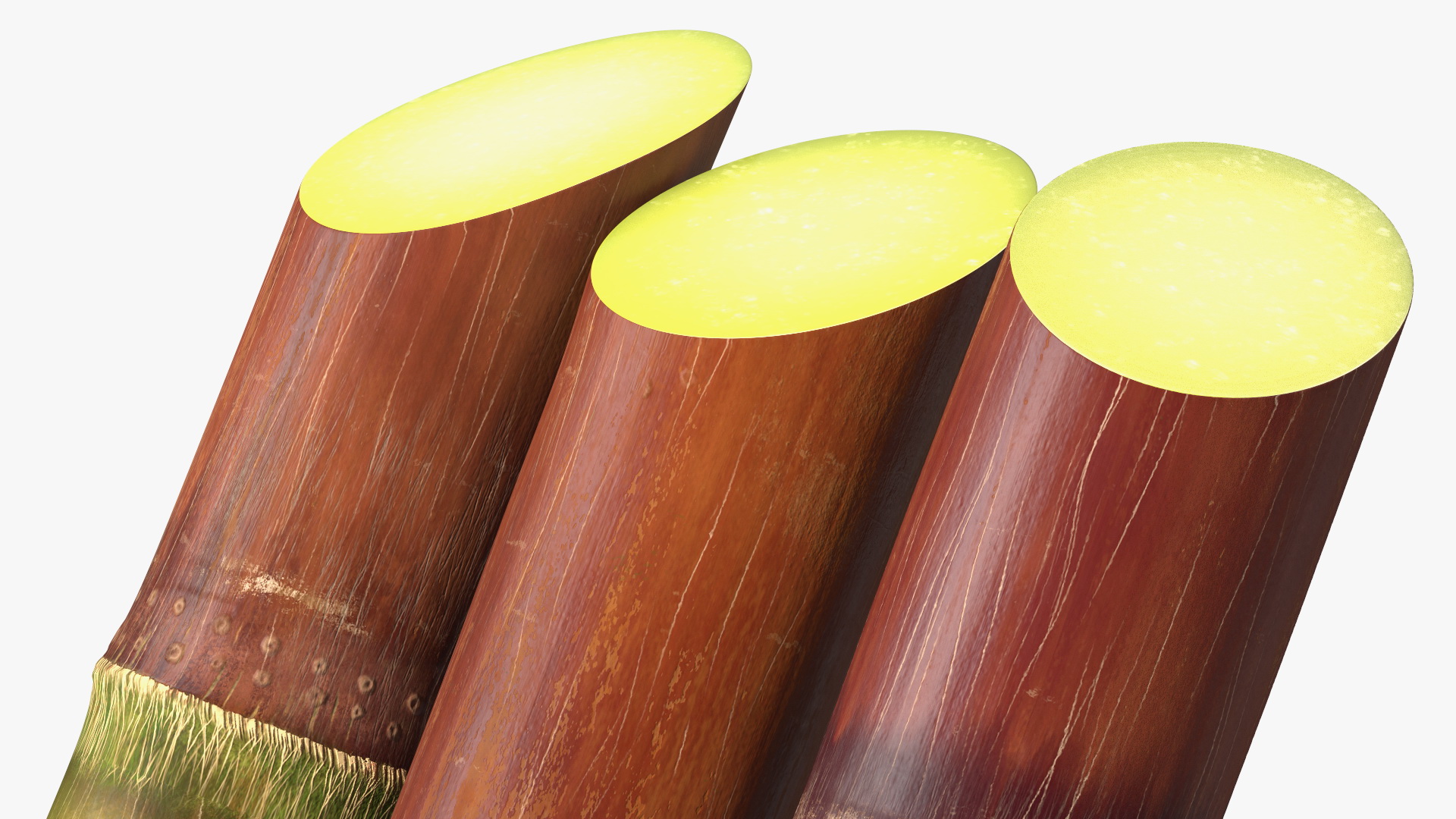 Brown Sugarcane Sticks 3D