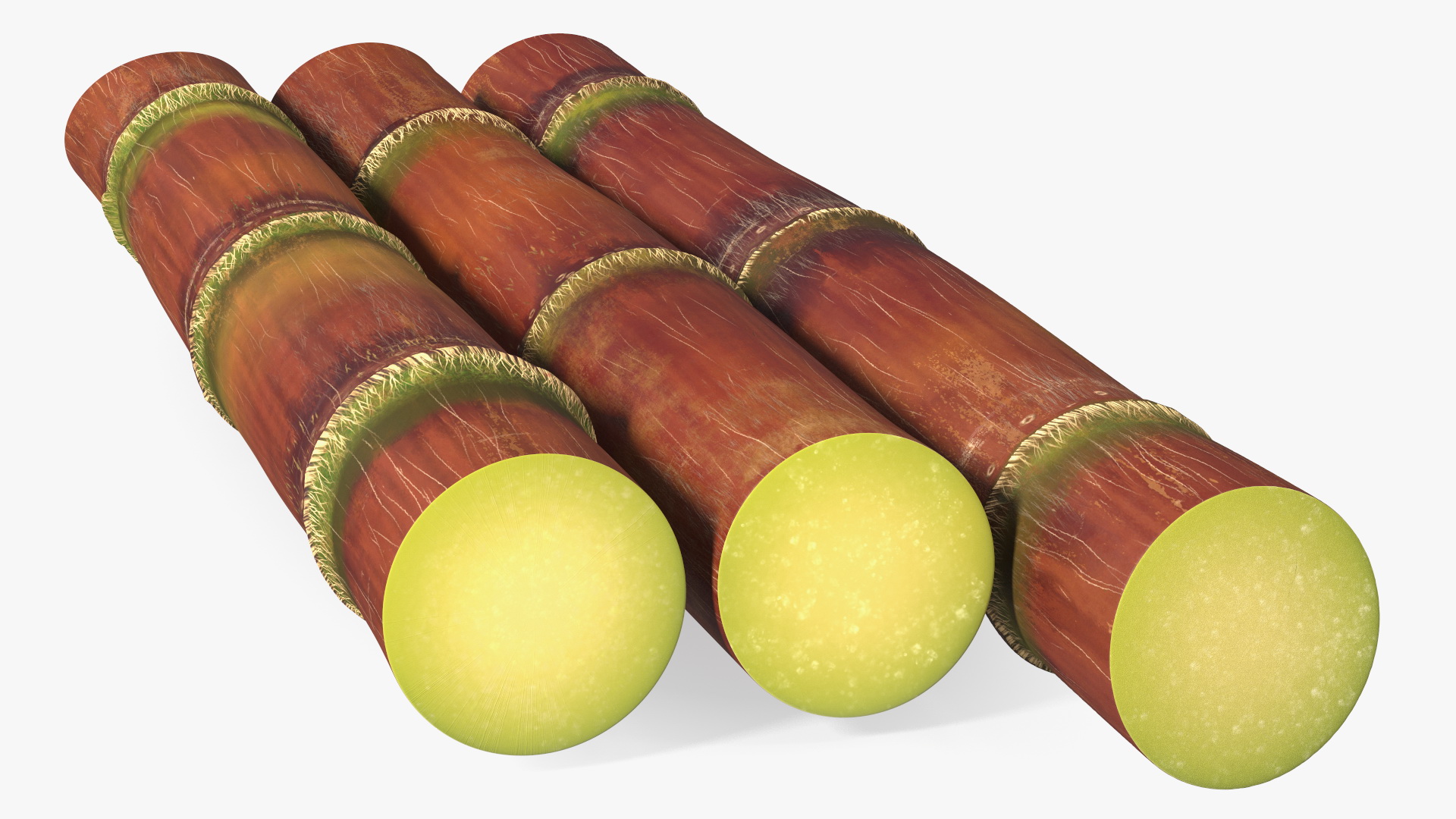 Brown Sugarcane Sticks 3D