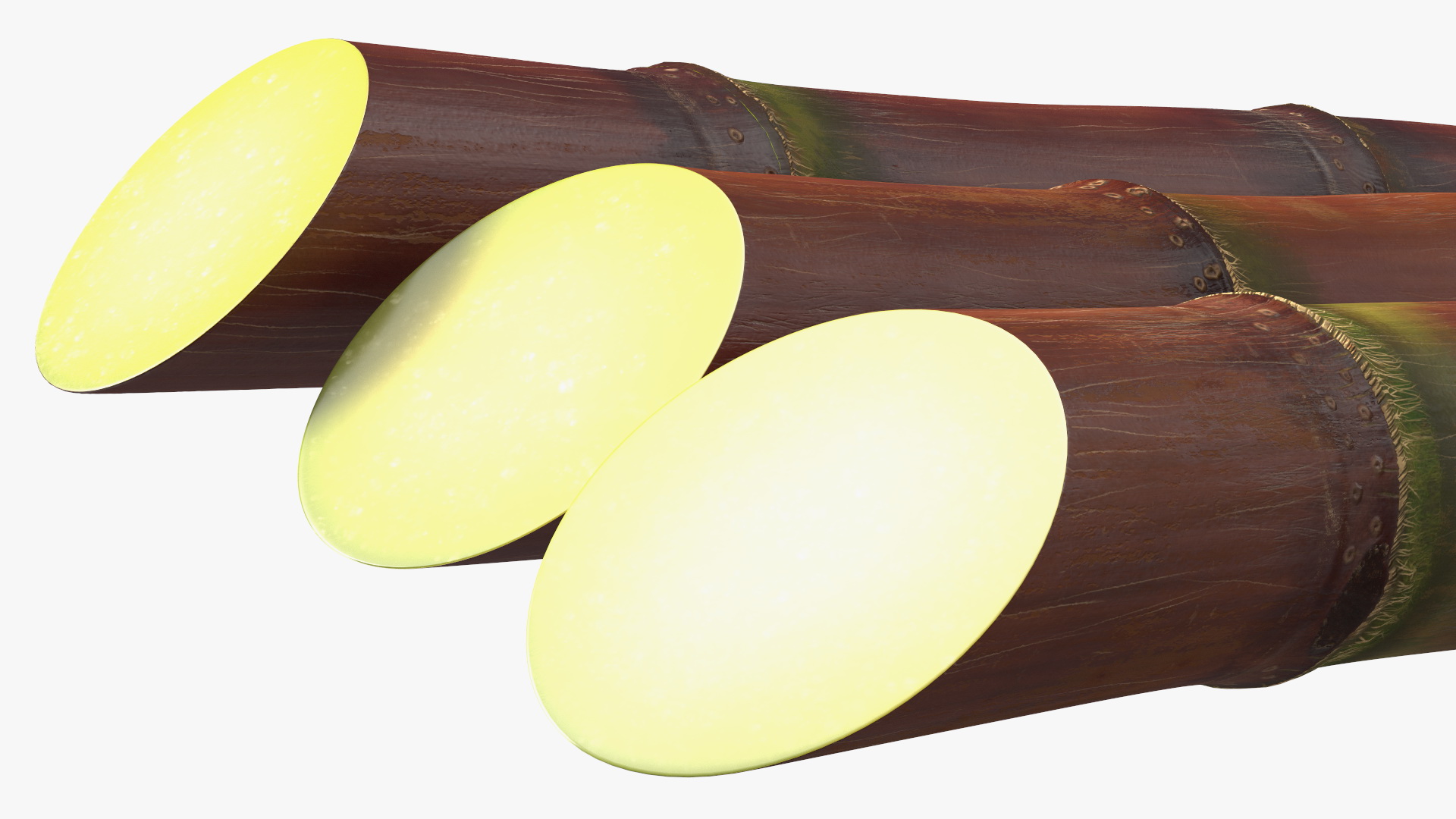Brown Sugarcane Sticks 3D