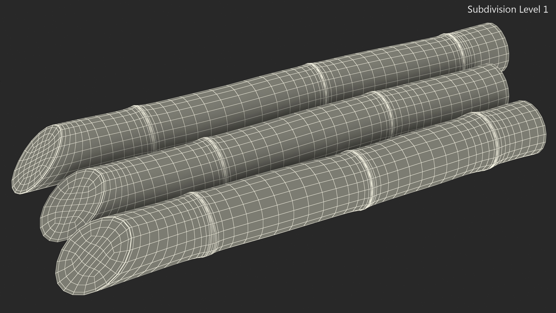 Brown Sugarcane Sticks 3D
