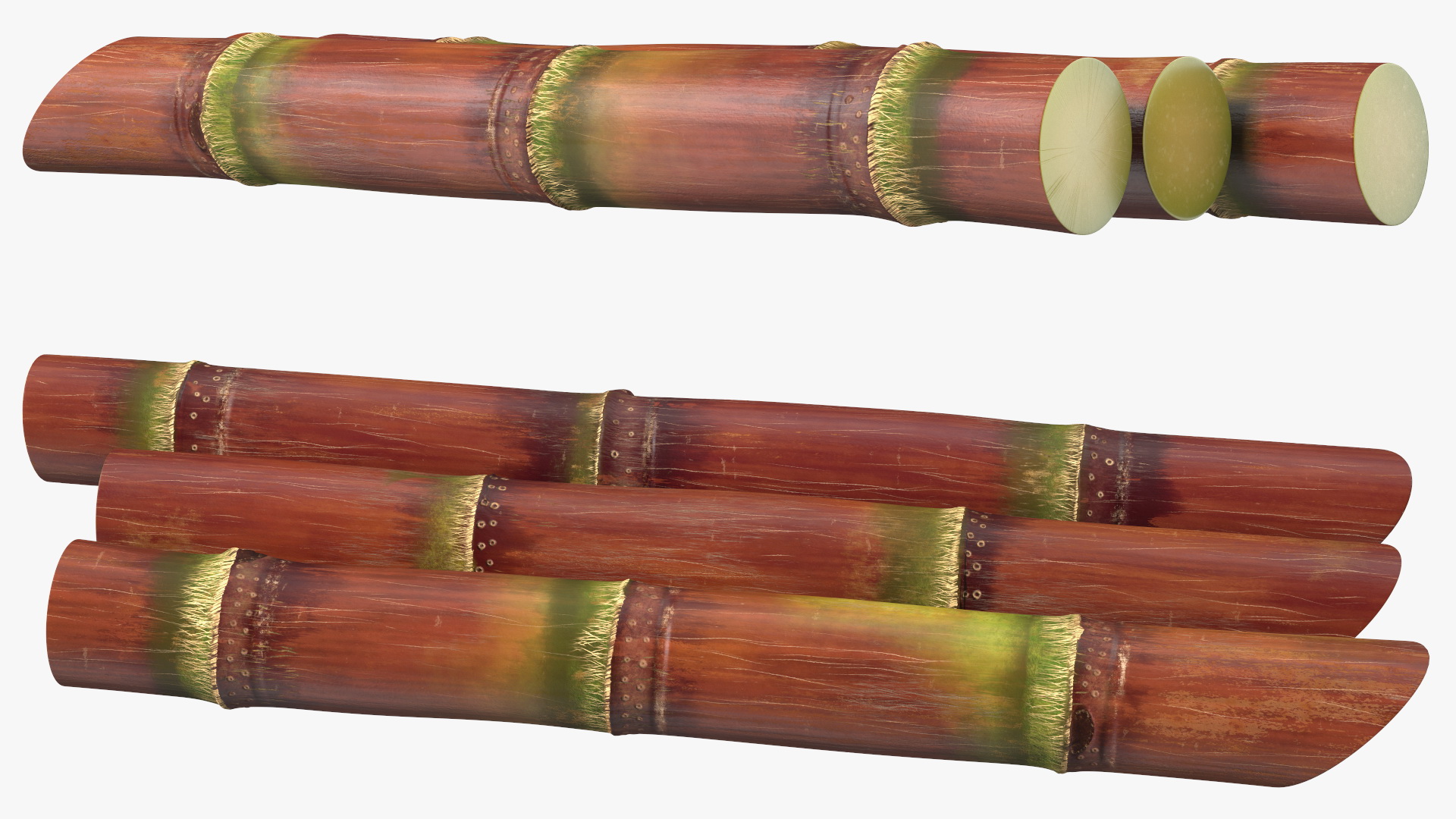 Brown Sugarcane Sticks 3D