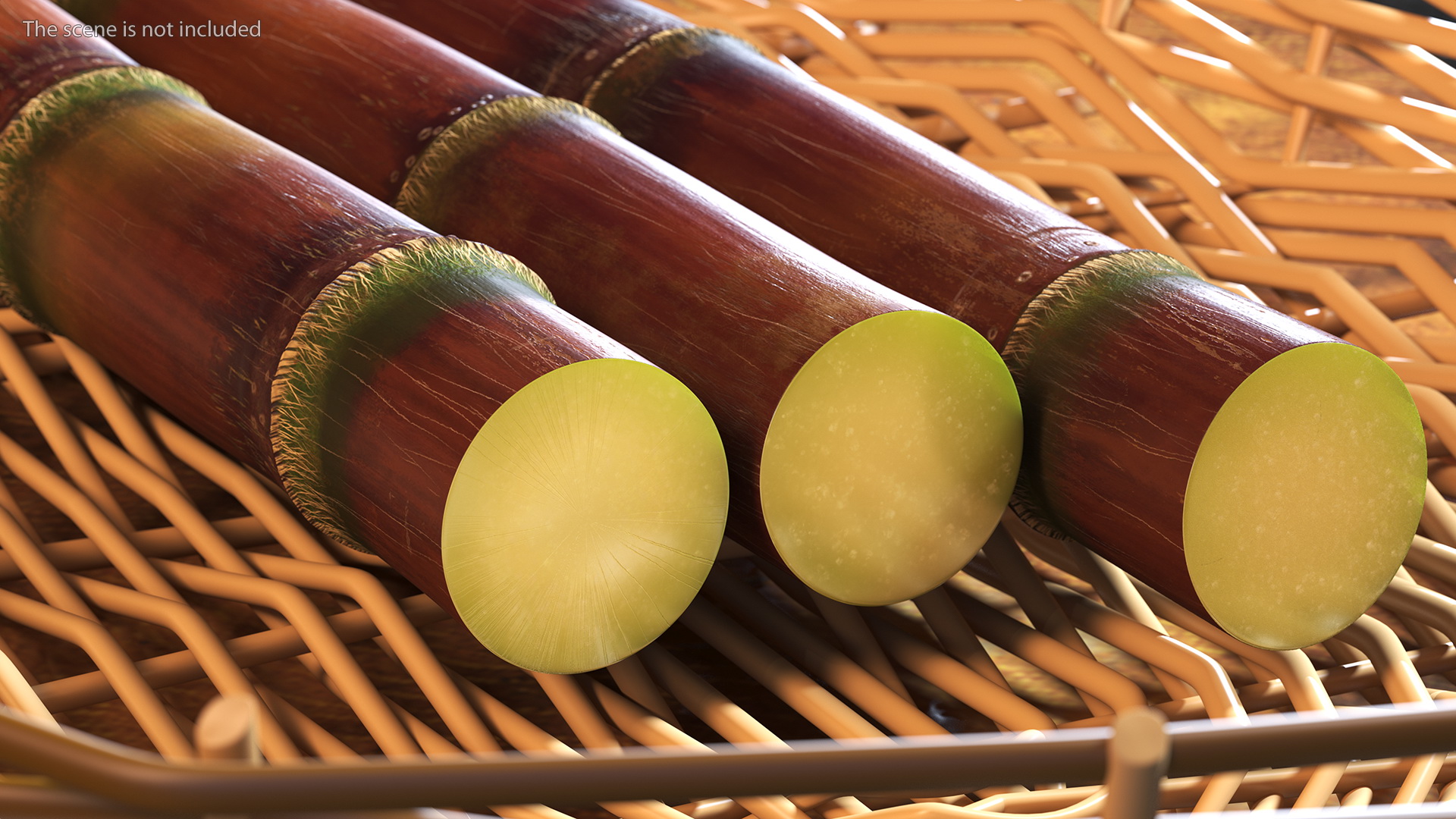 Brown Sugarcane Sticks 3D