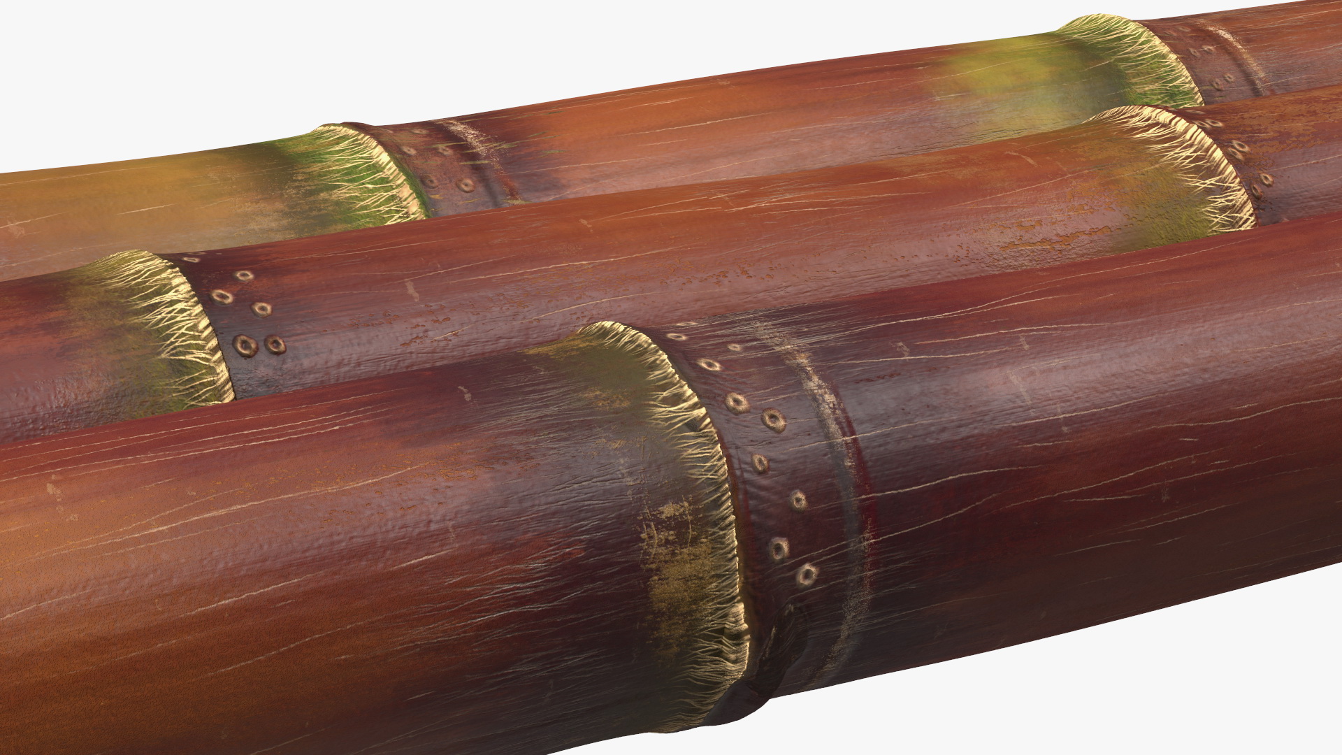 Brown Sugarcane Sticks 3D