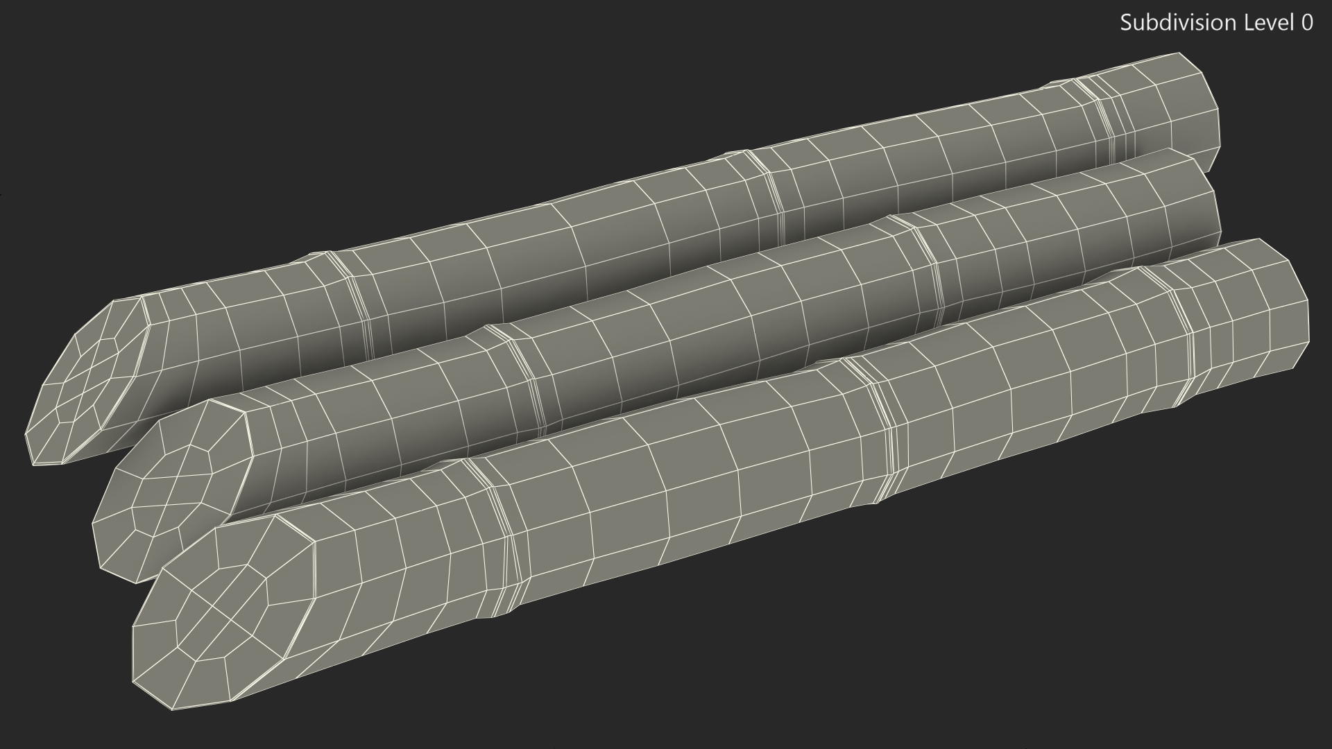Brown Sugarcane Sticks 3D