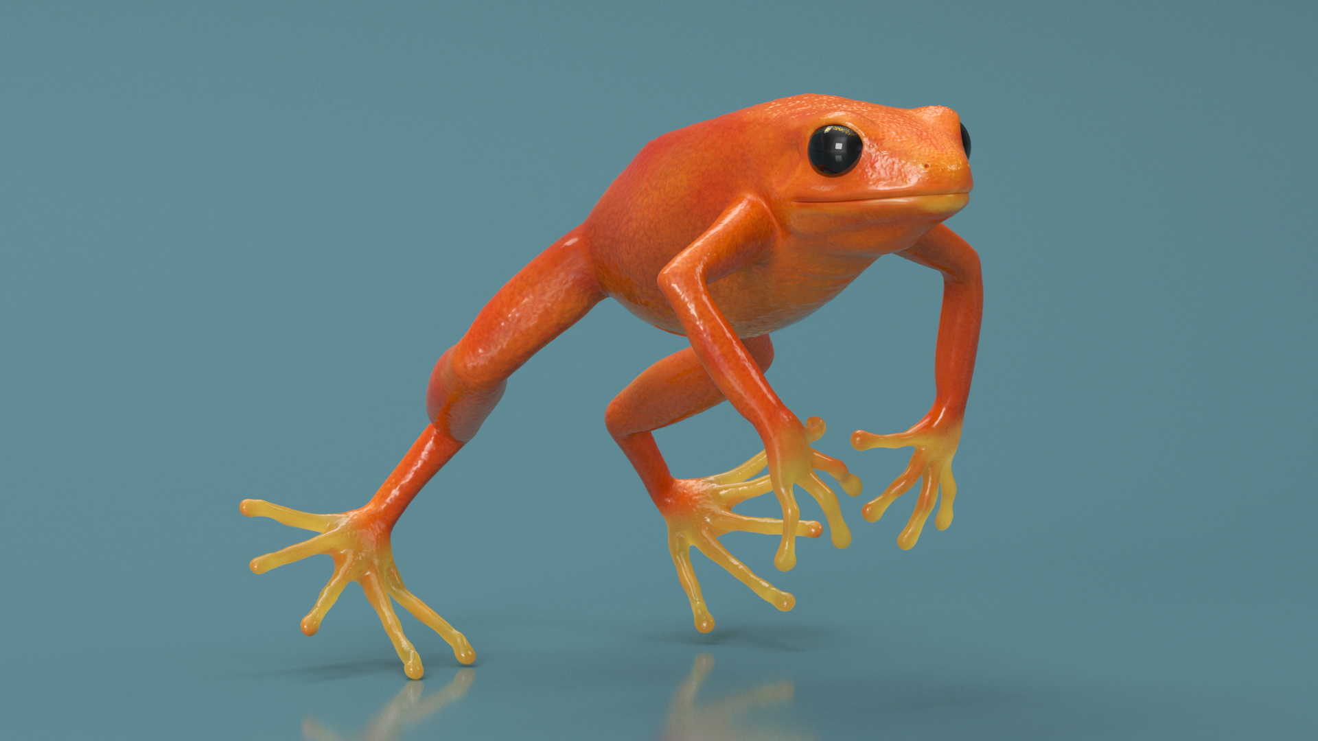 3D Mantella Frog Jumping