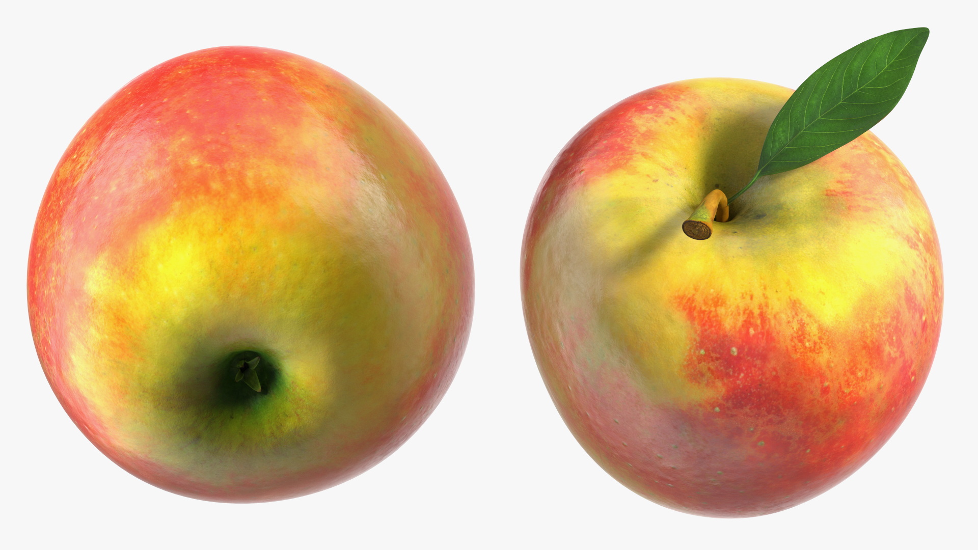 3D model Realistic Apple with Leaf